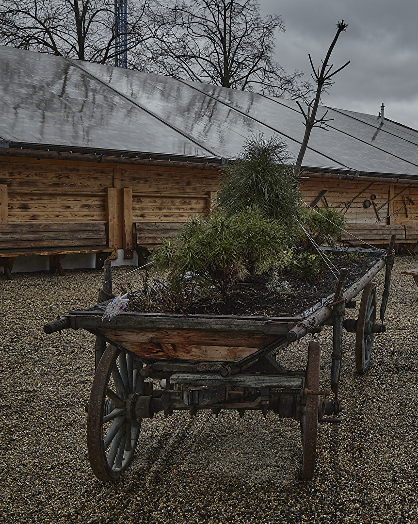 nach Gewitter im garten der prater alm