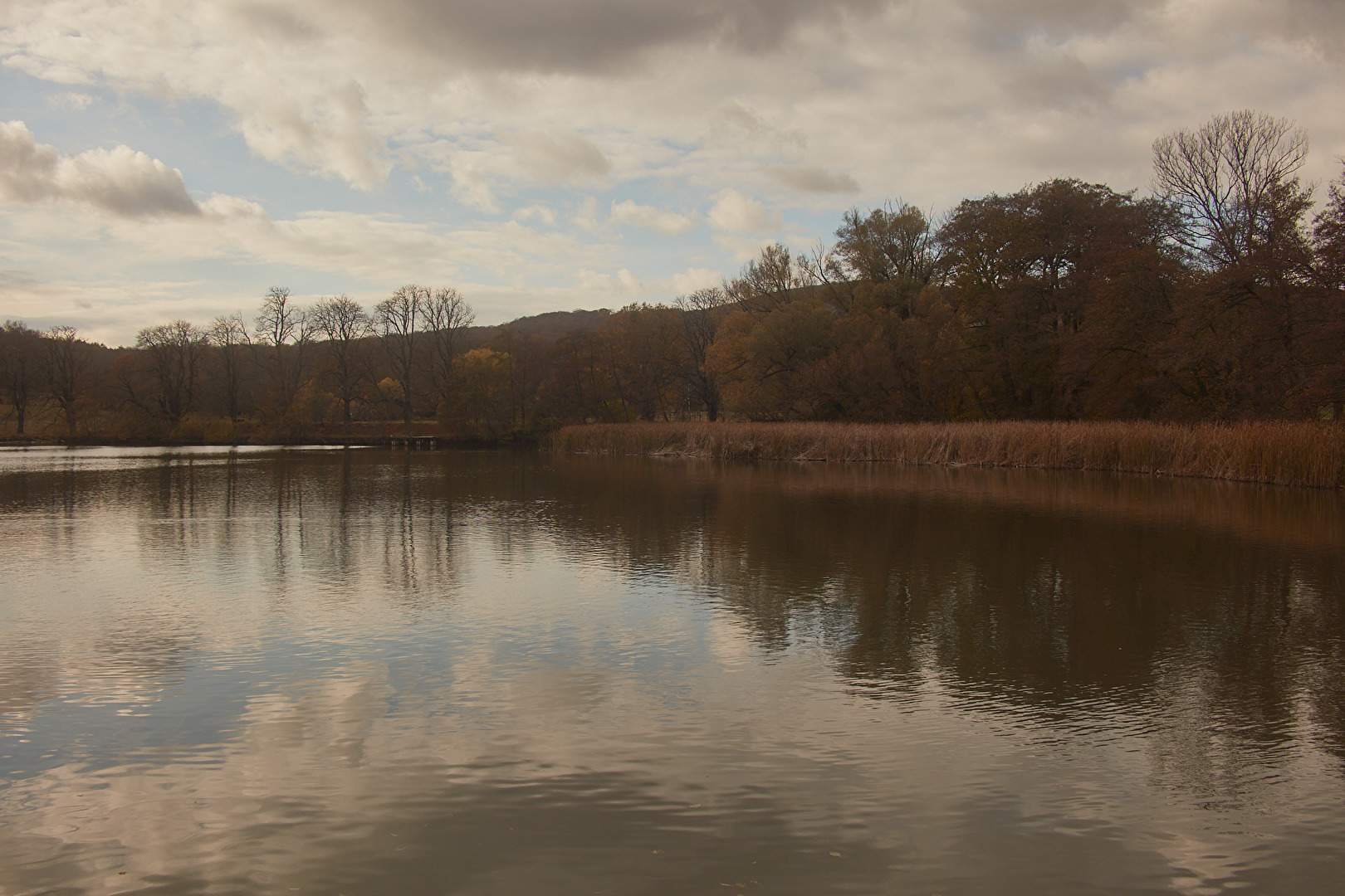 größter Löschteich für den 13 Bezirk