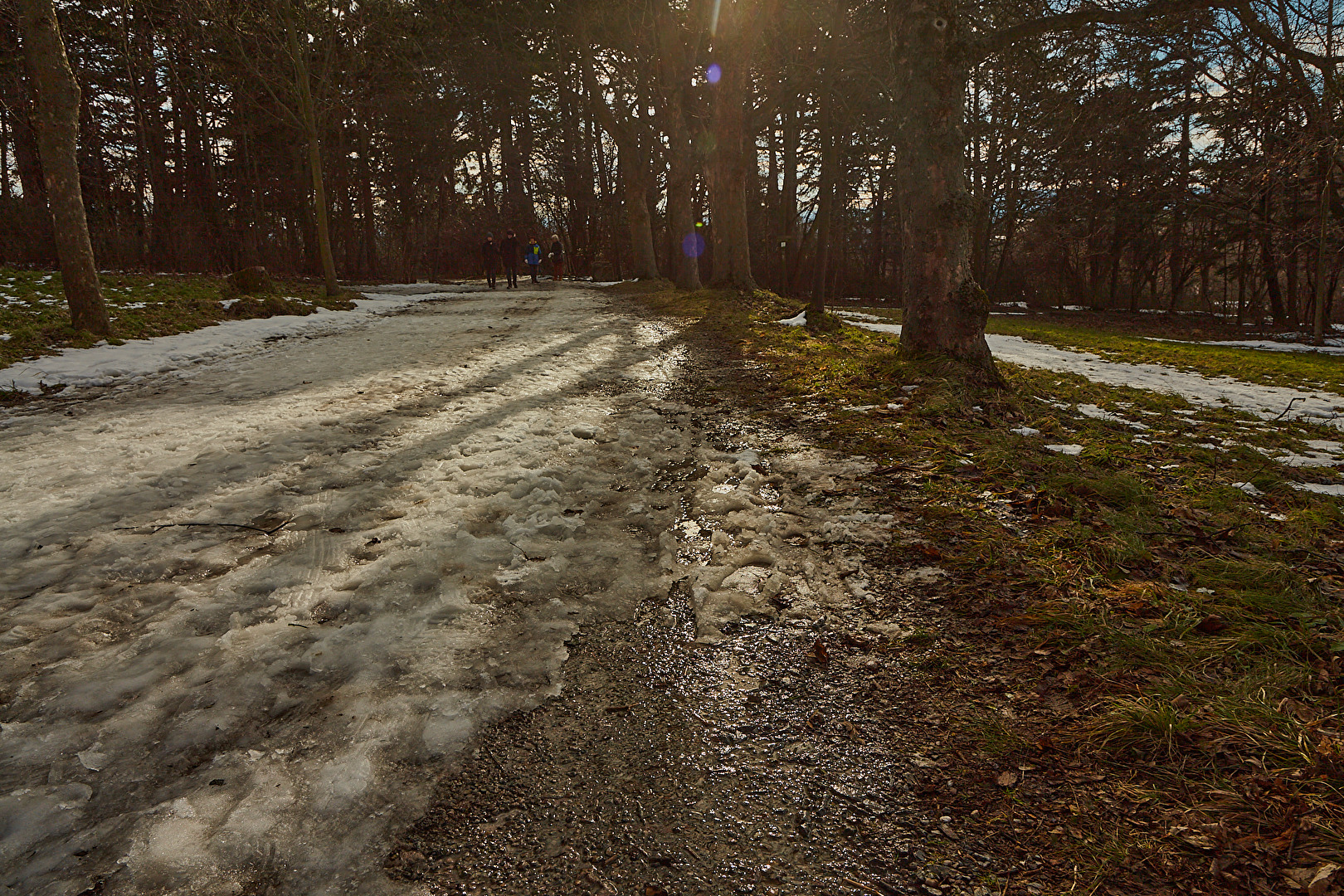 lange schatten, Blendflecken, Wanderer im dehnepark