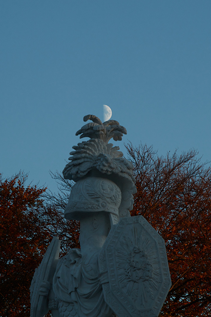 gehört zu den tollen Fotos die