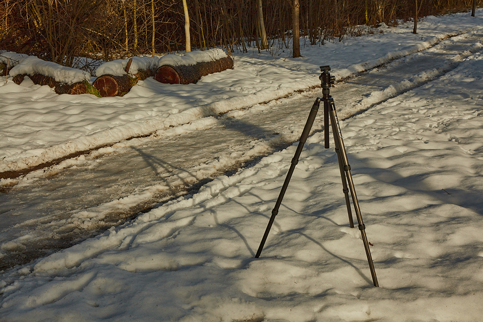 sunset - lange schatten