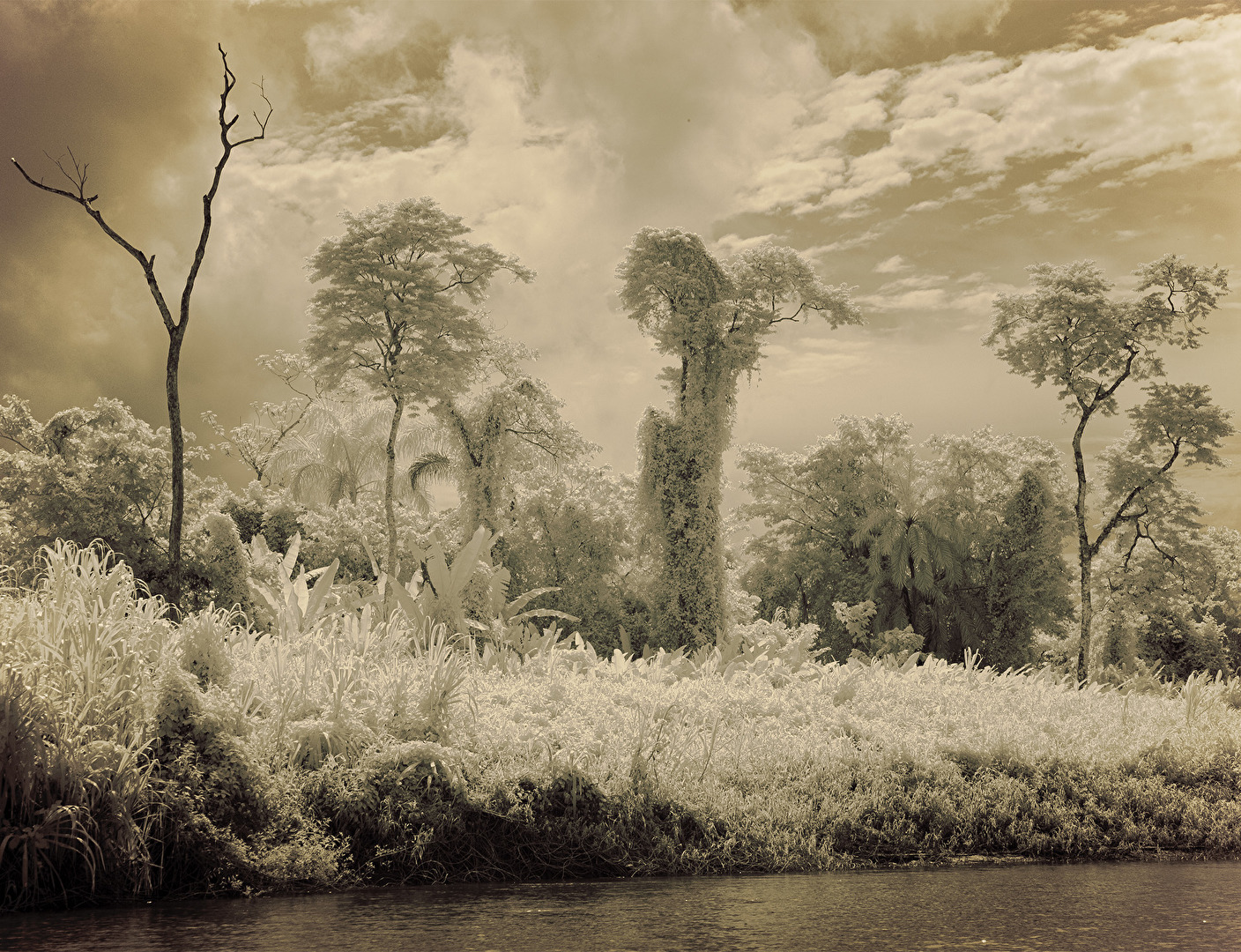 Am Rio Coco, suedliche Atlantikkueste Nicaraguas, Infrarot