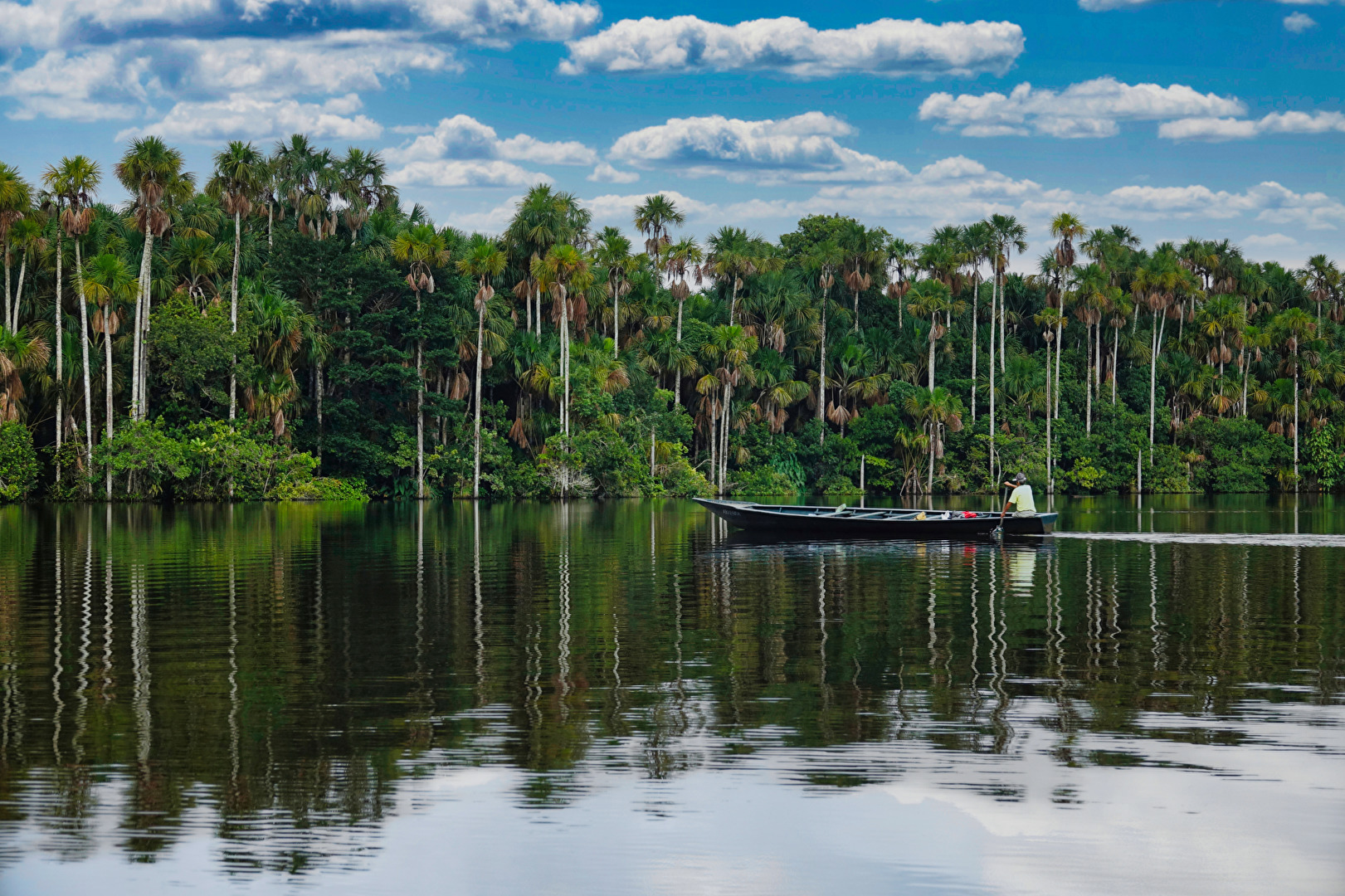 Amazonas