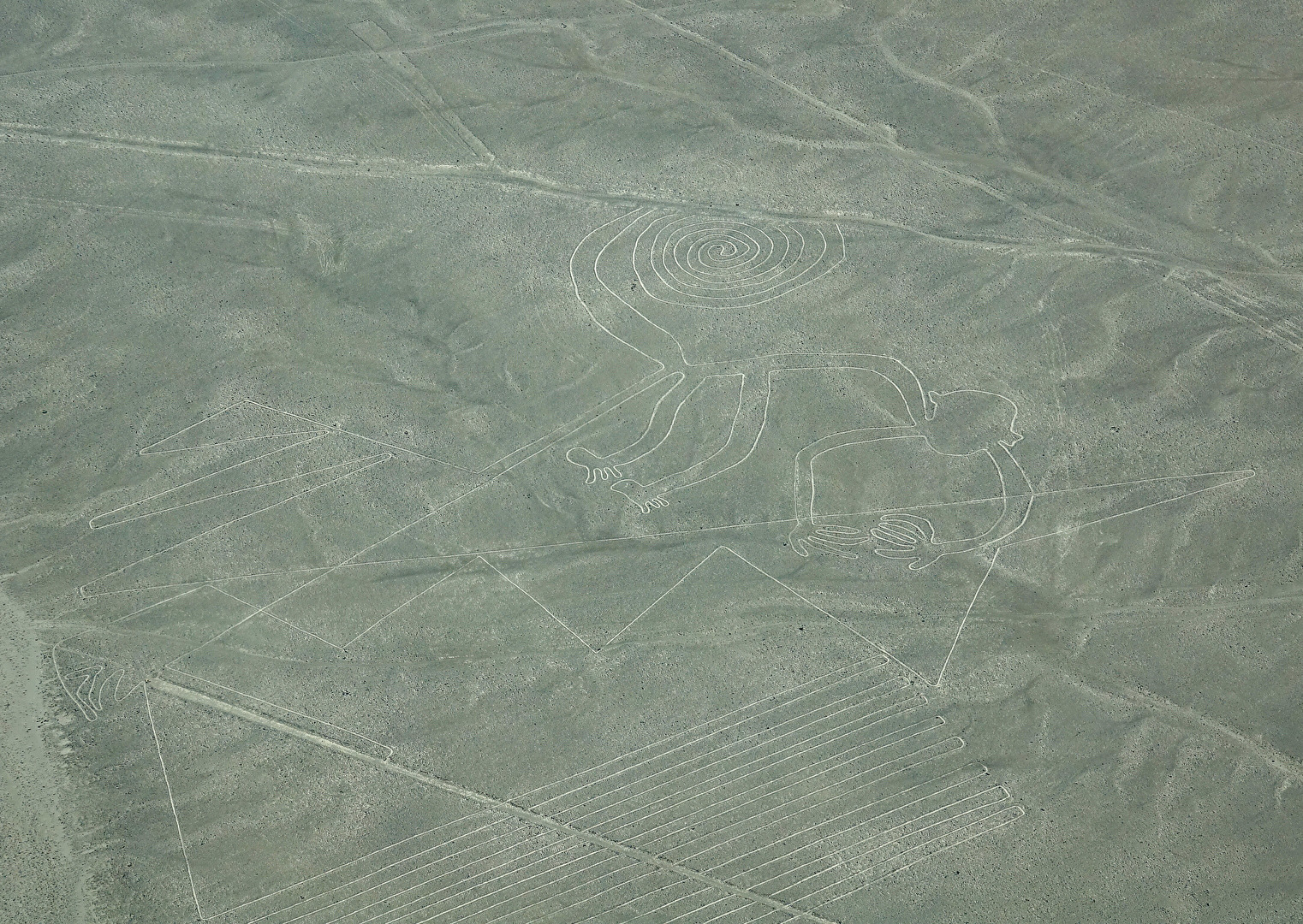 Nasca Lines