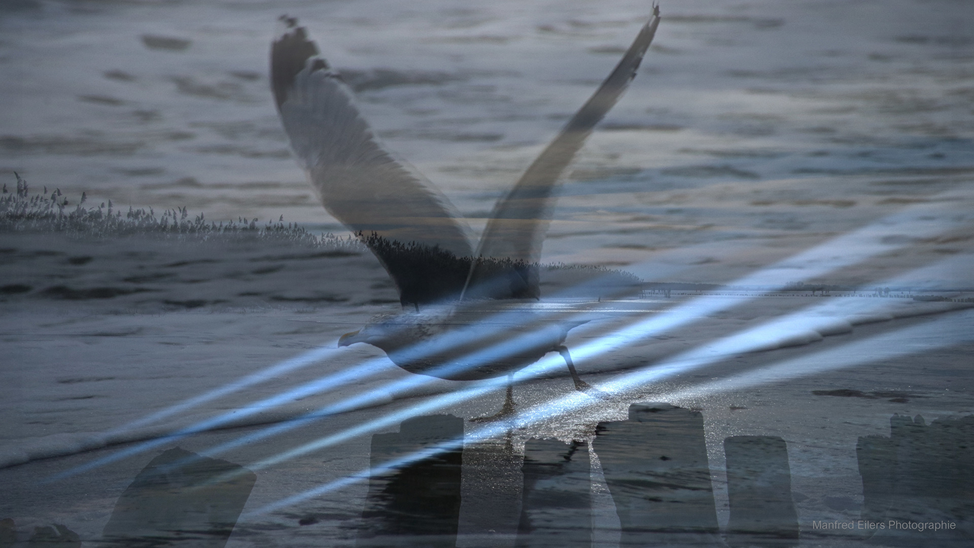 Doppelt- und Mehrfachbelichtung