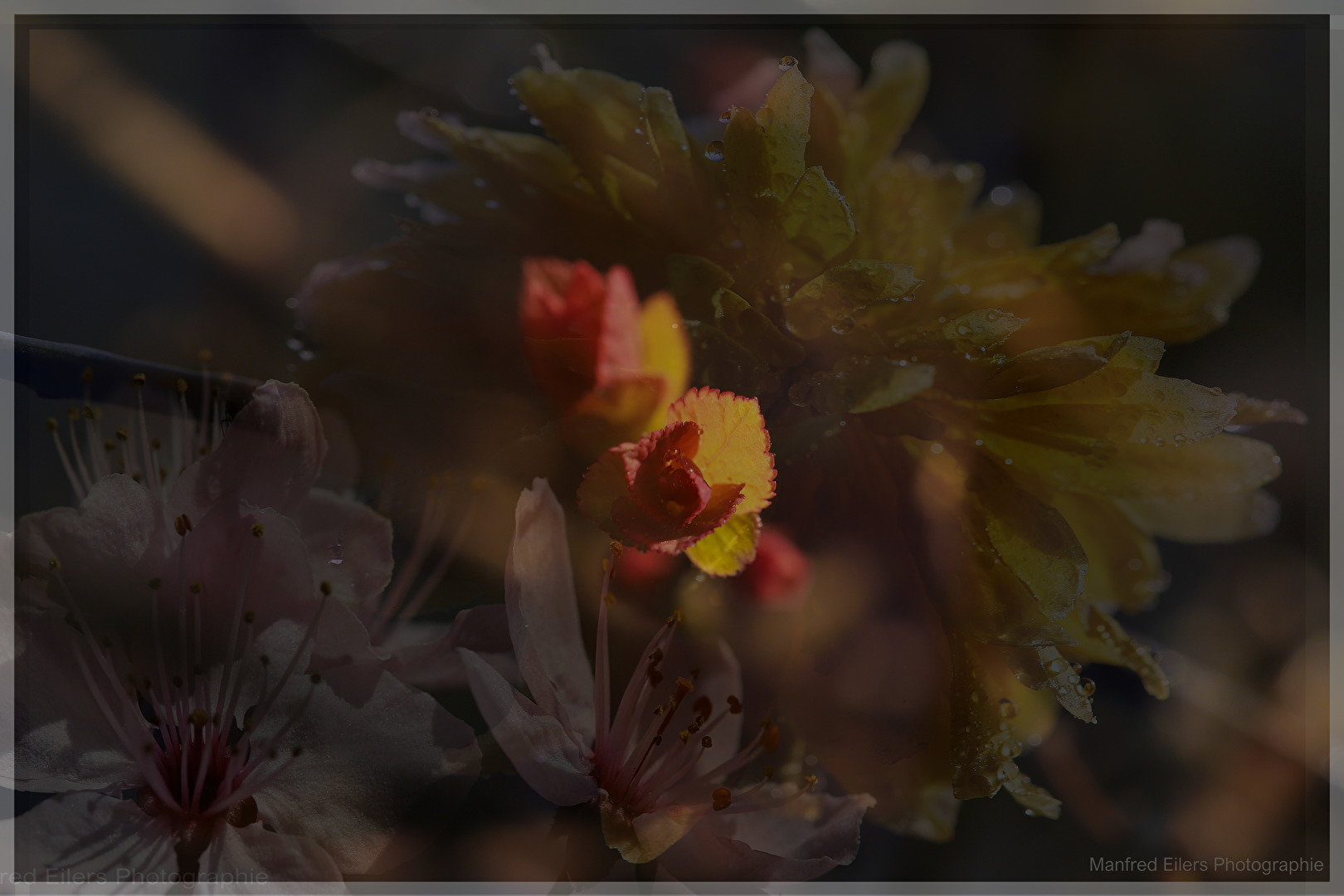 Doppelt- und Mehrfachbelichtung