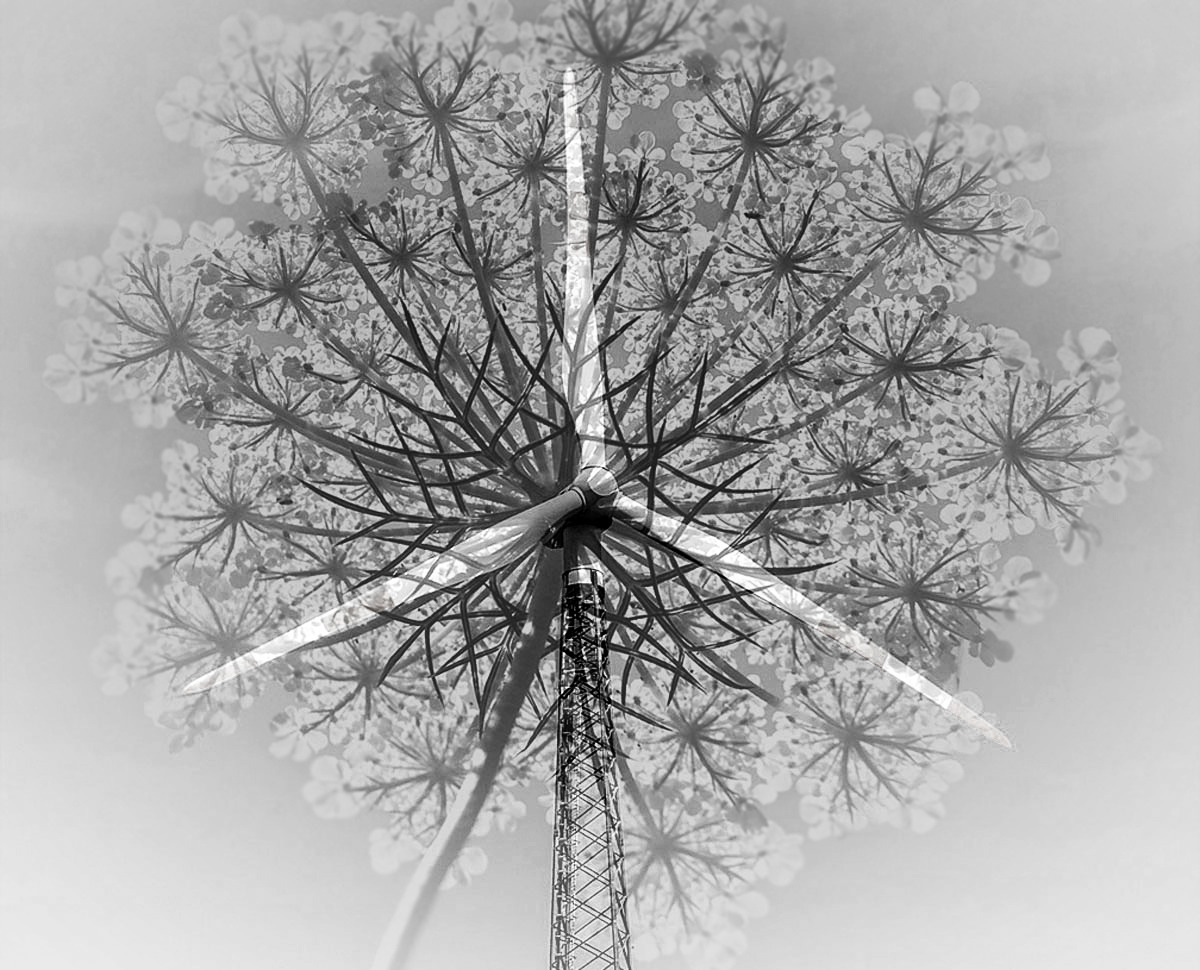 #Mehrfachbelichtung Natur und Technik im Bund...