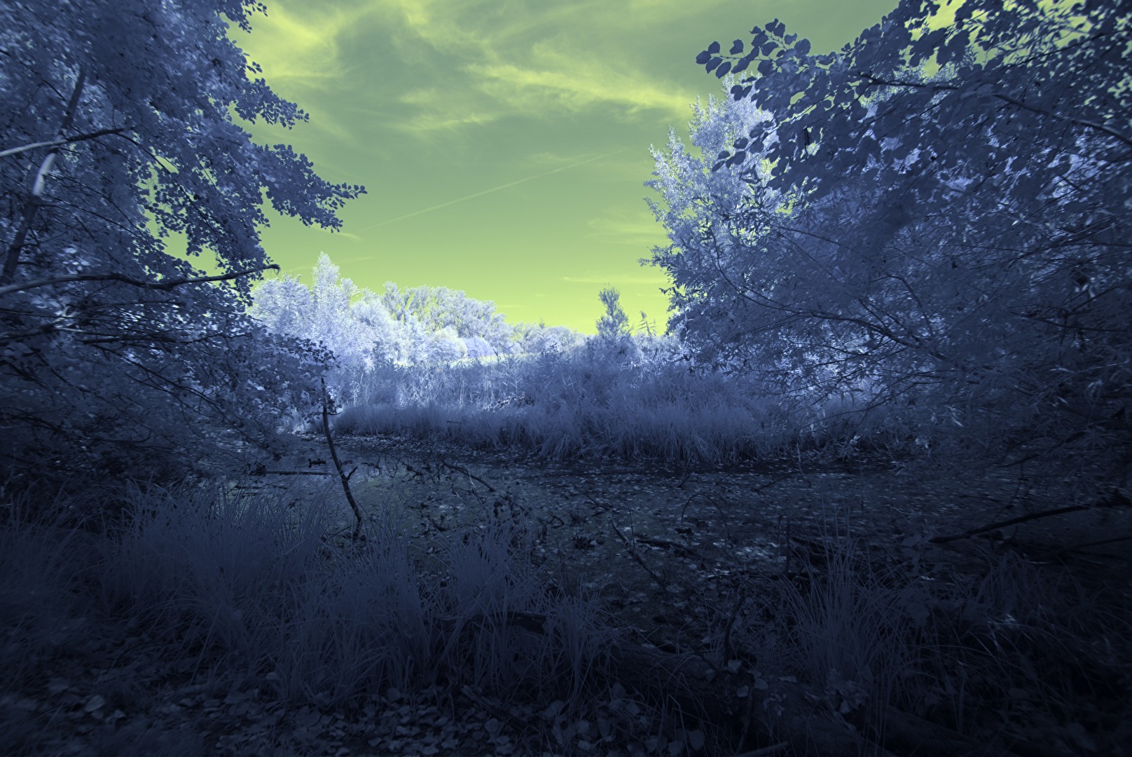 Infrarot - auf einem seltsamen Planeten