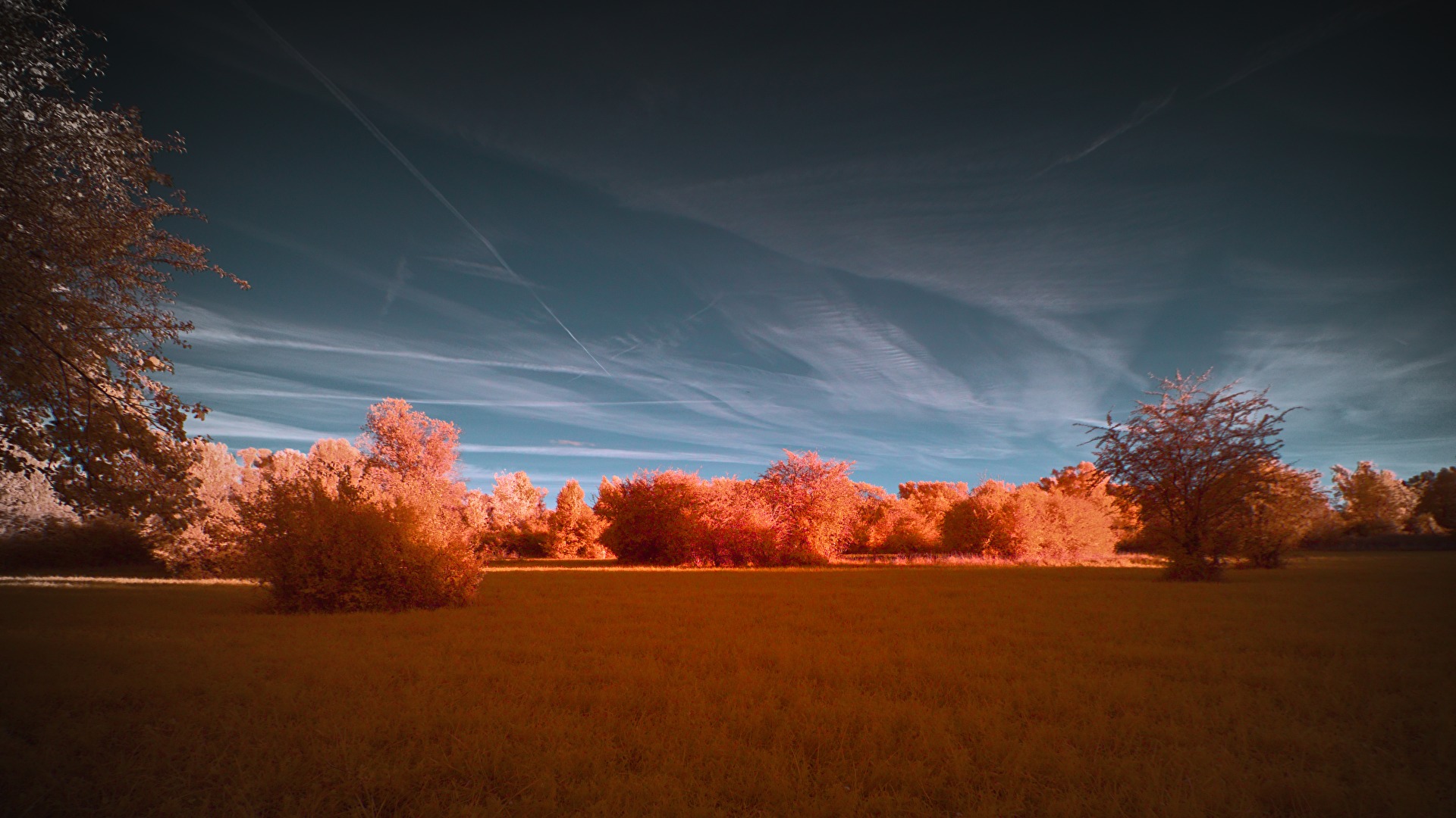 Sommerlandschaft, auf Herbst getunt