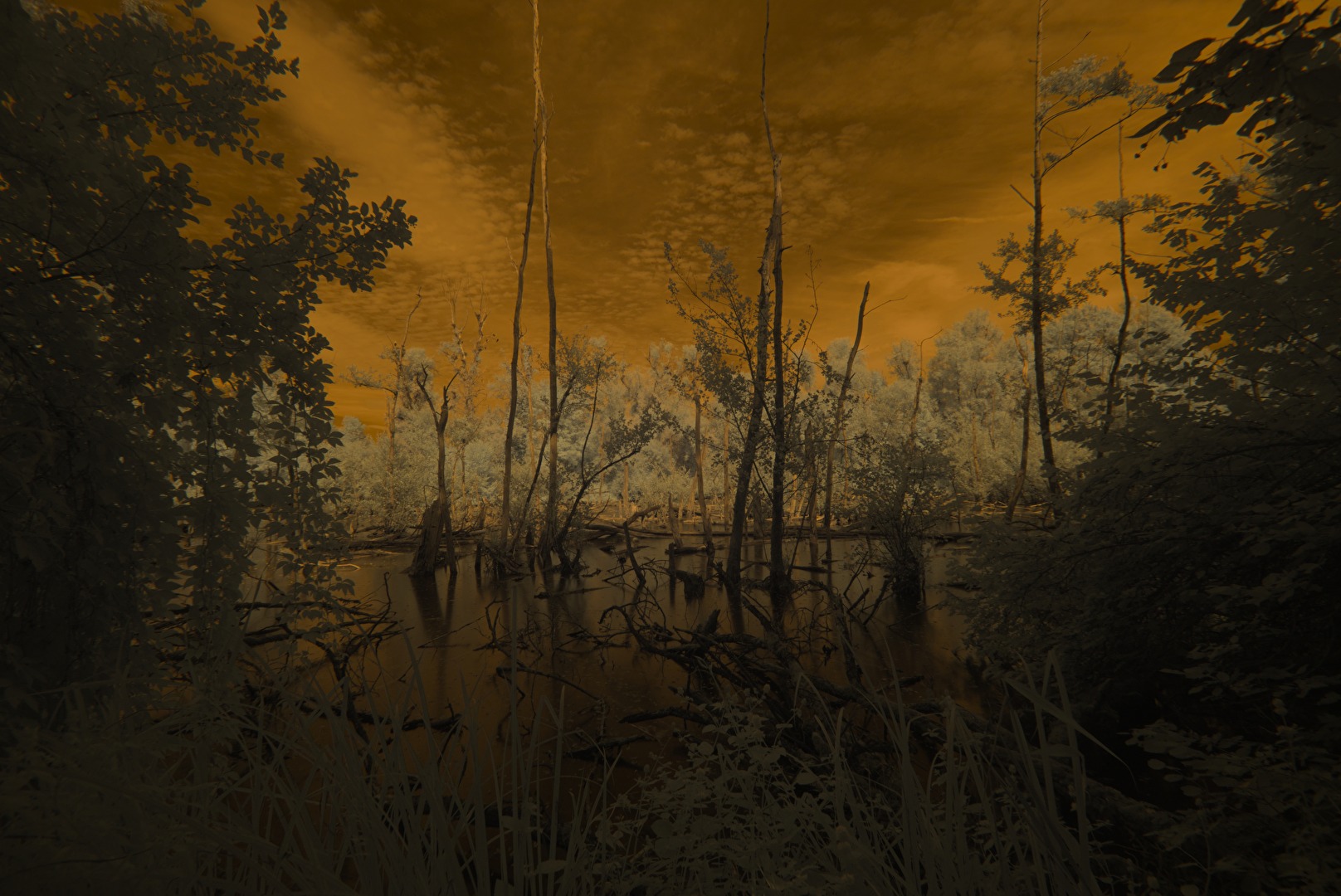 Infrarot - the day after