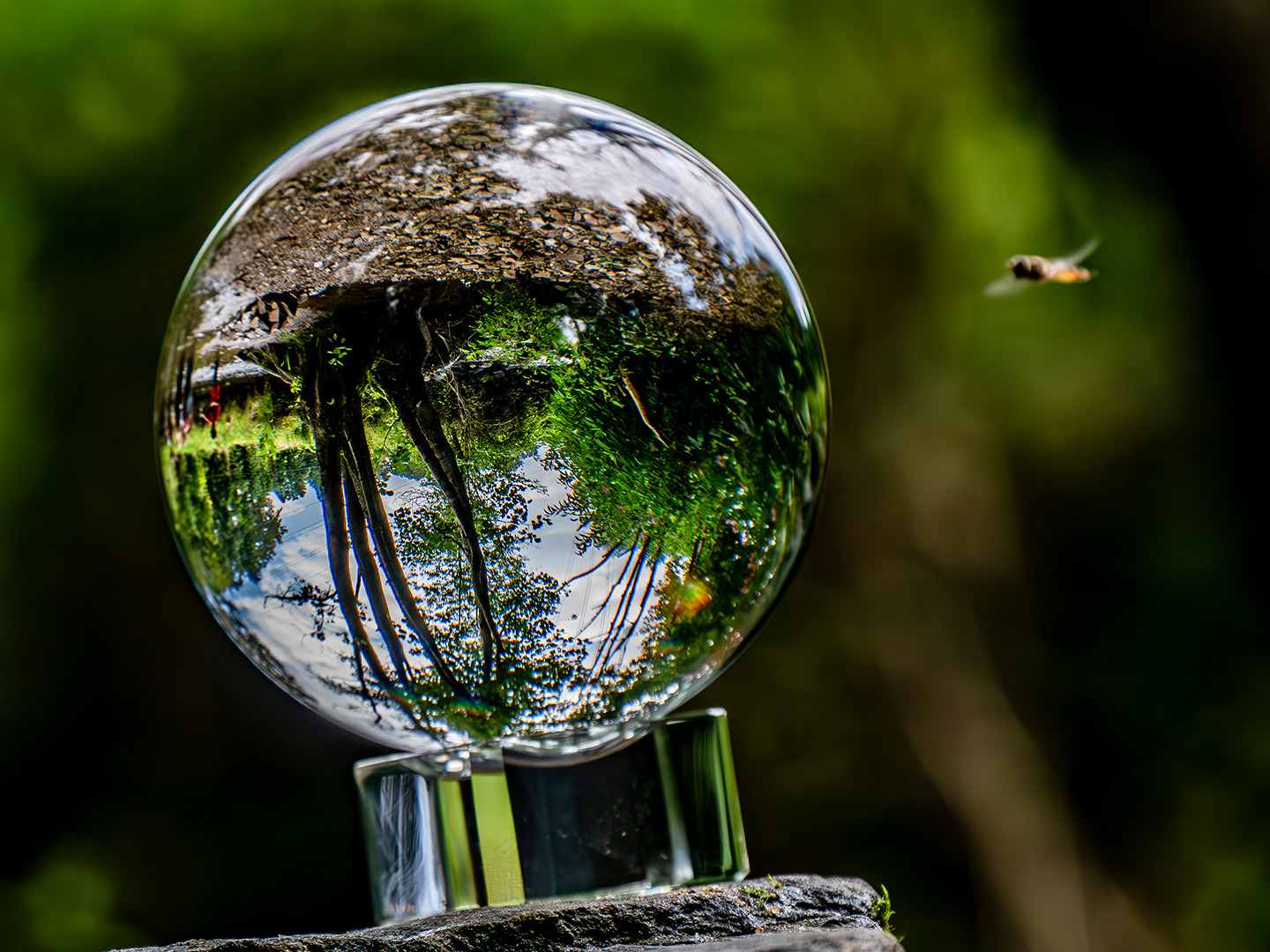 #Lensball am Bach