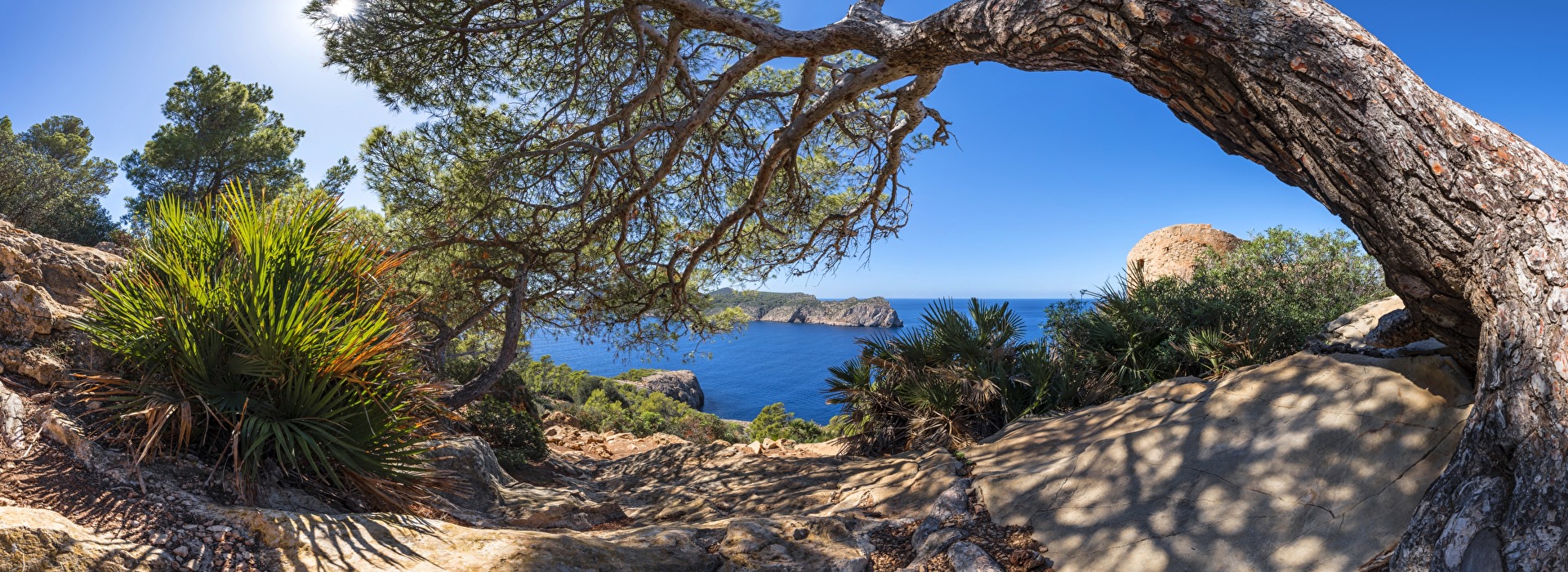 Mallorca-Torre de Cala en Basset