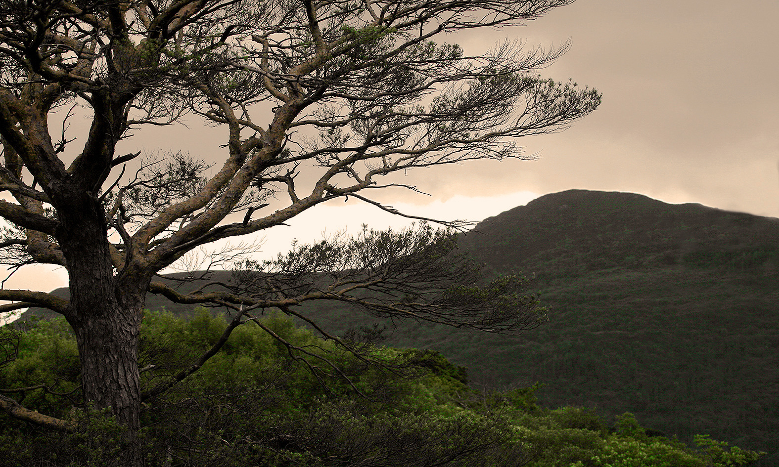 Februar, unterwegs auf der Insel MALLORCA.