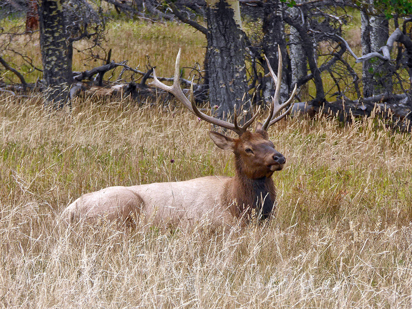 Rocky Mountain National Park, USA