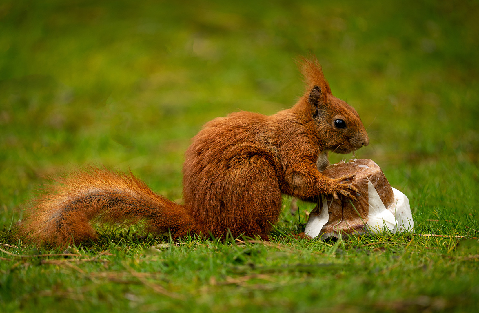 Snacktime