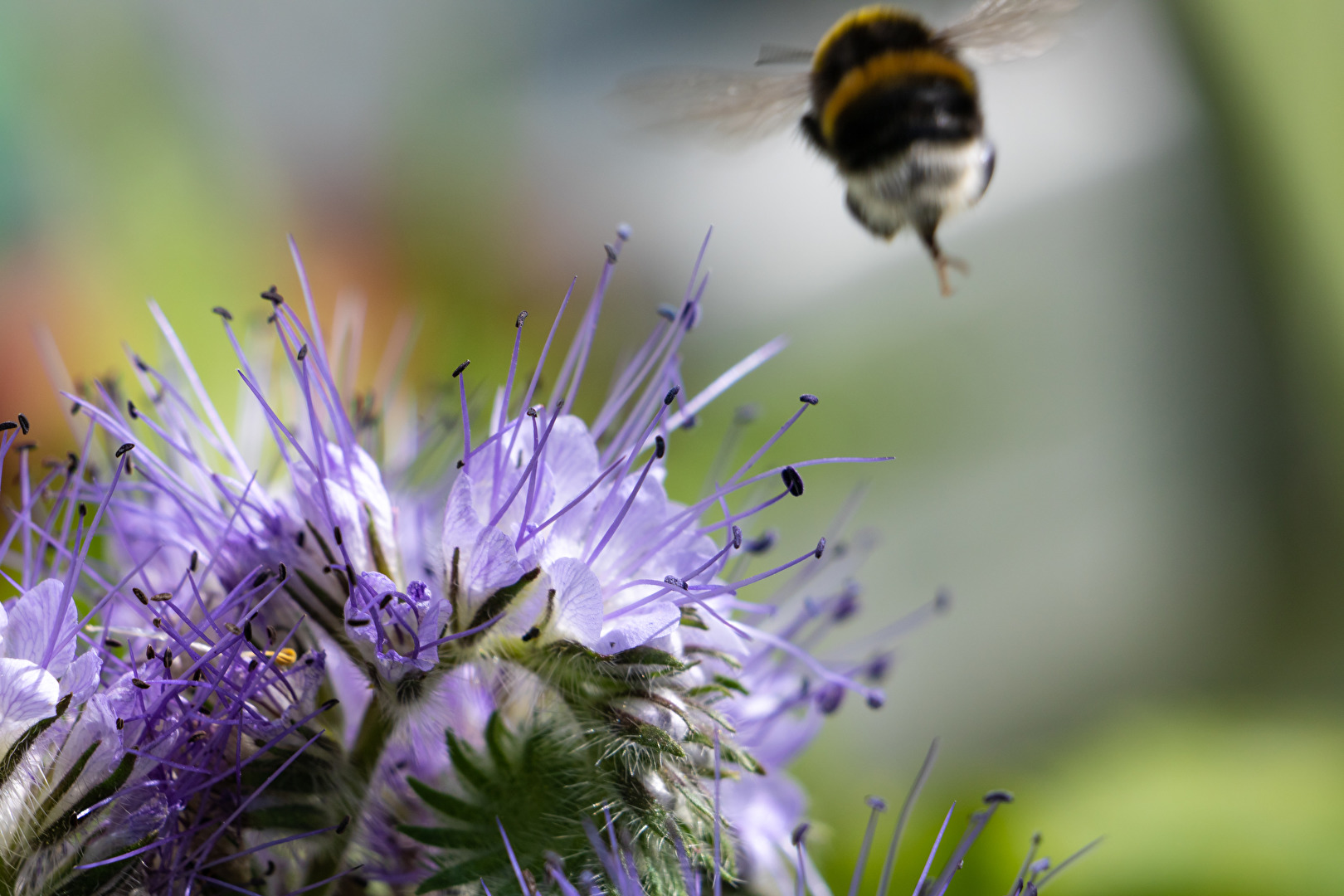 Ich bin dann mal weg...