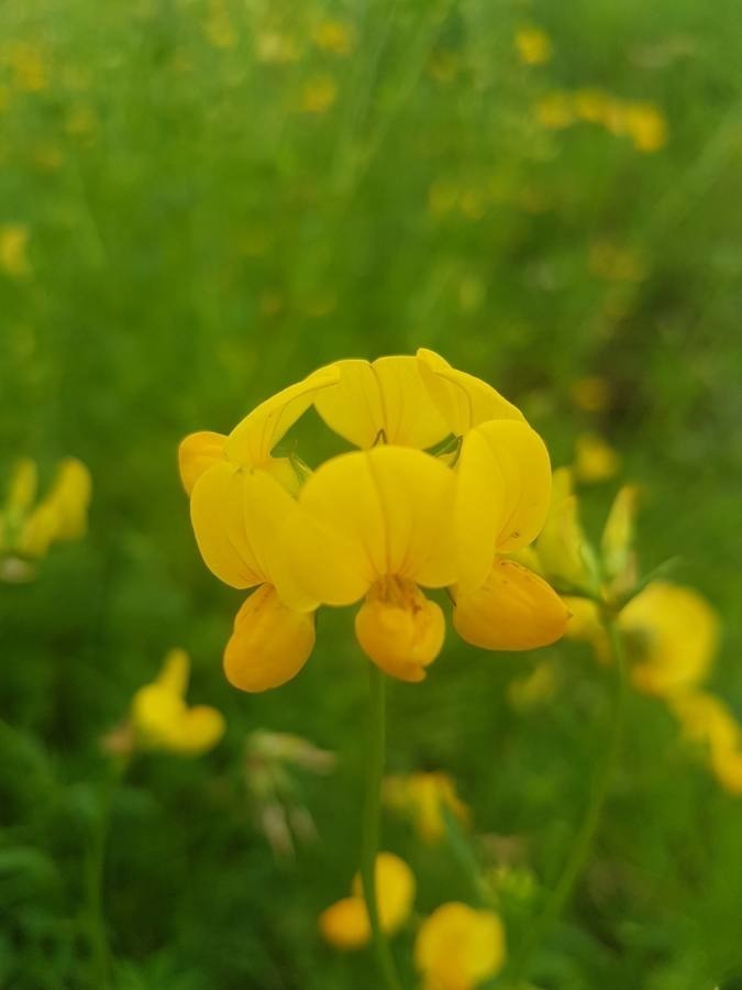 Natur (allgemein)
