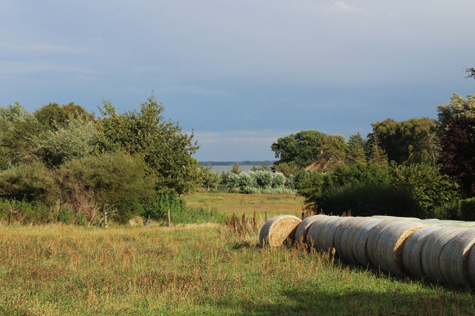 Natur am Bodden