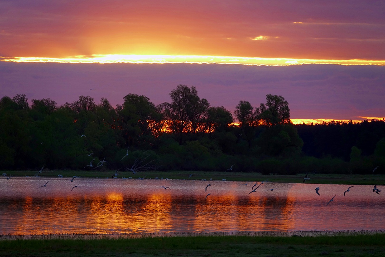 Natur (allgemein)