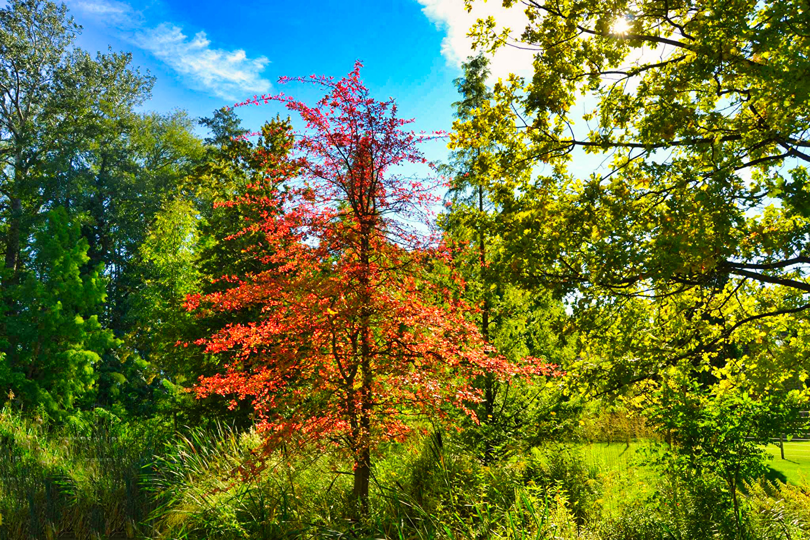 Natur (allgemein)
