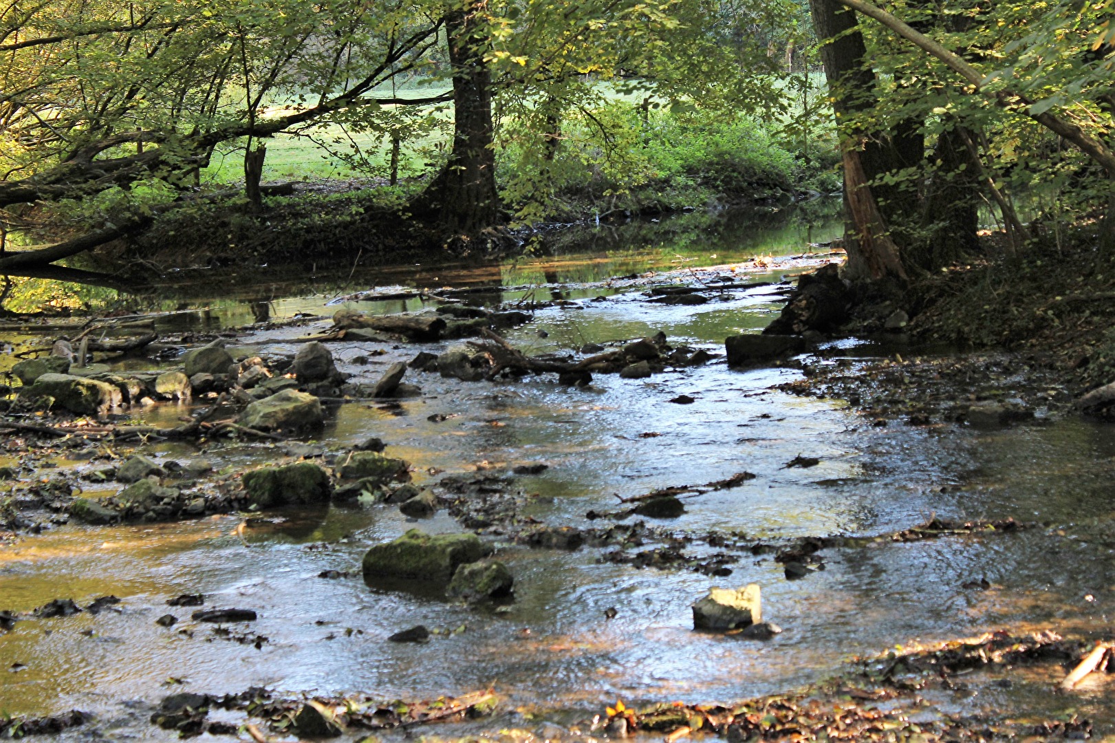 Natur (allgemein)