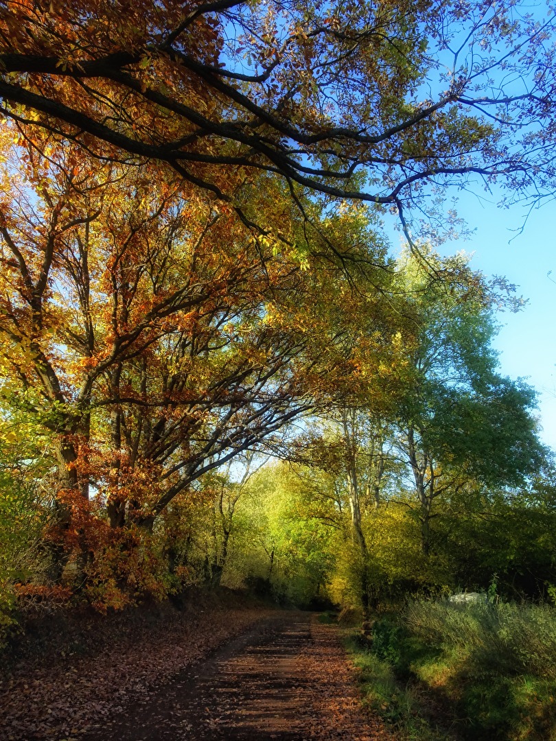 Natur (allgemein)