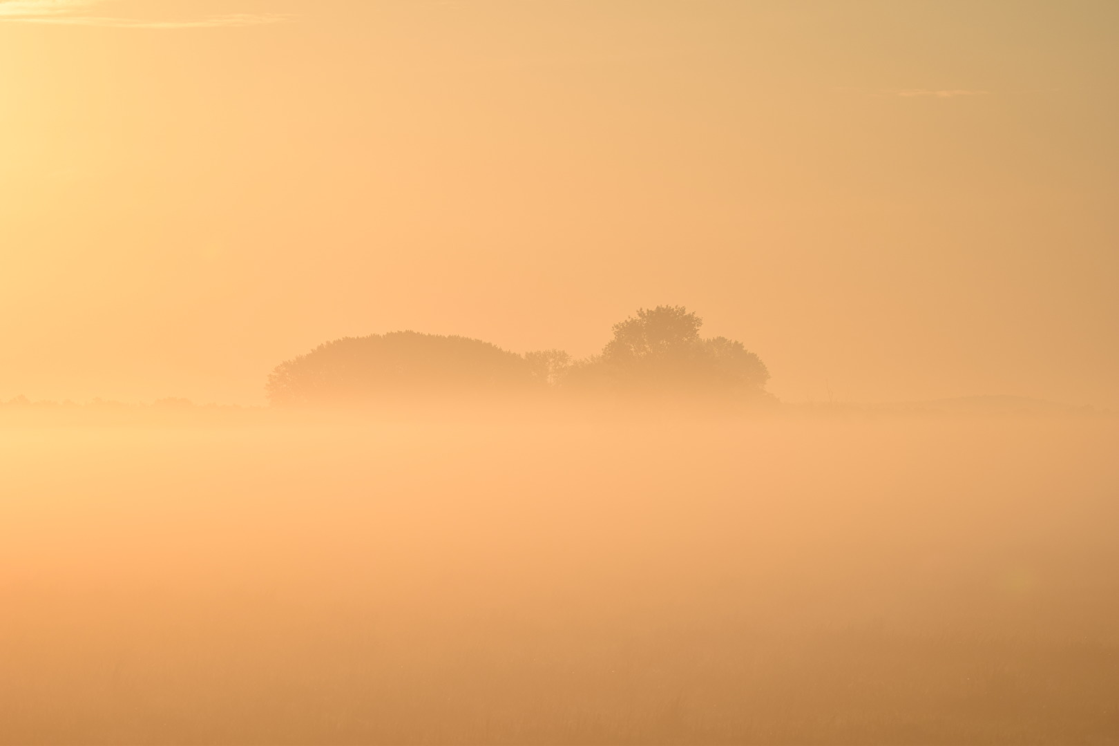 Natur (allgemein)