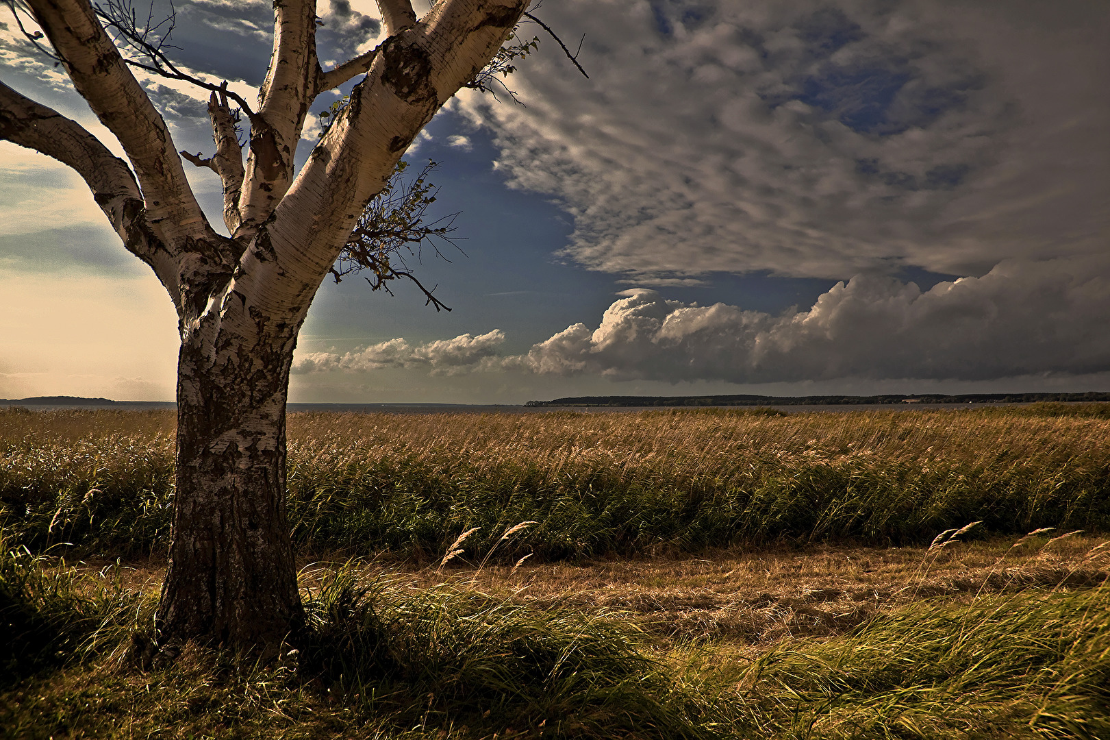 INSEL USEDOM