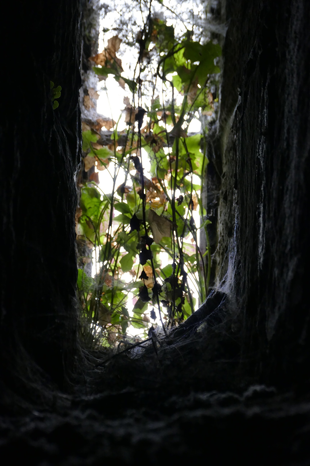 Natur (allgemein)