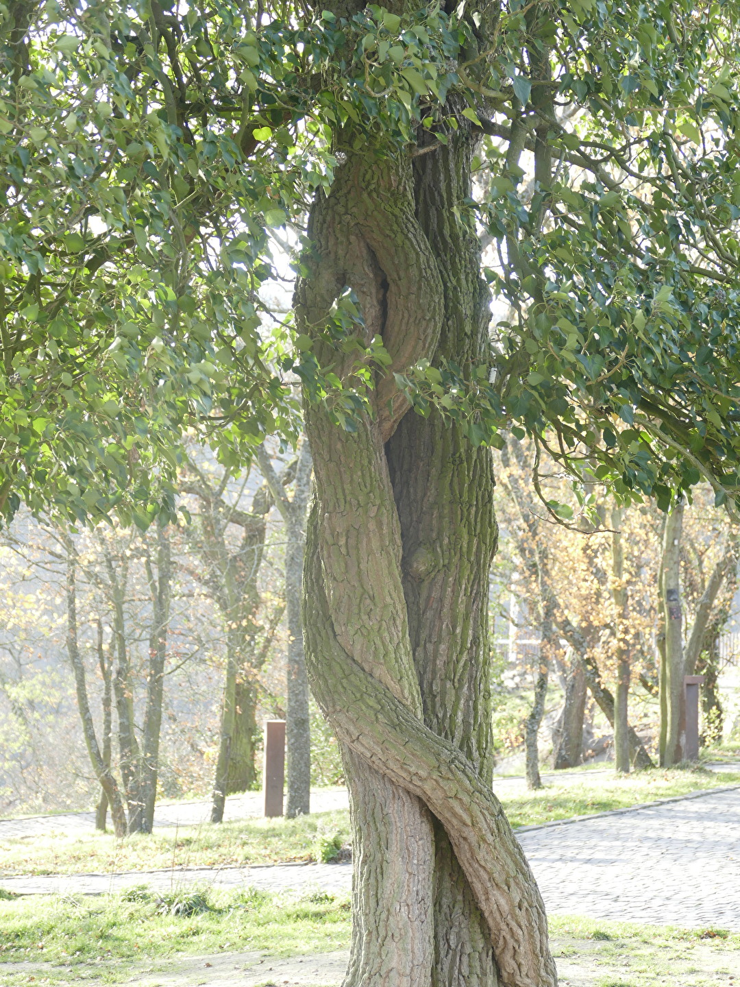 Natur (allgemein)