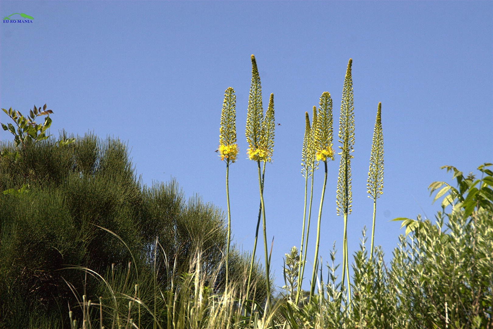 Natur (allgemein)