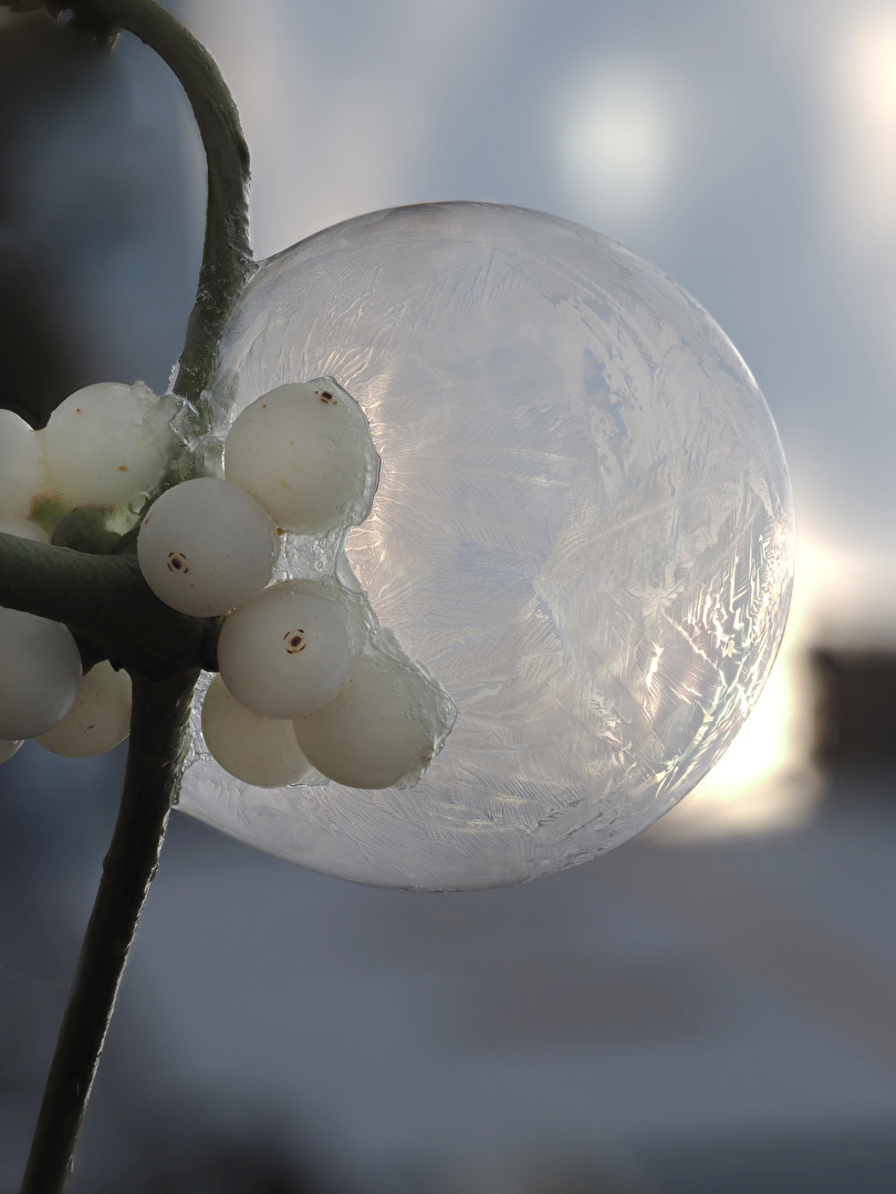 Eisblumen