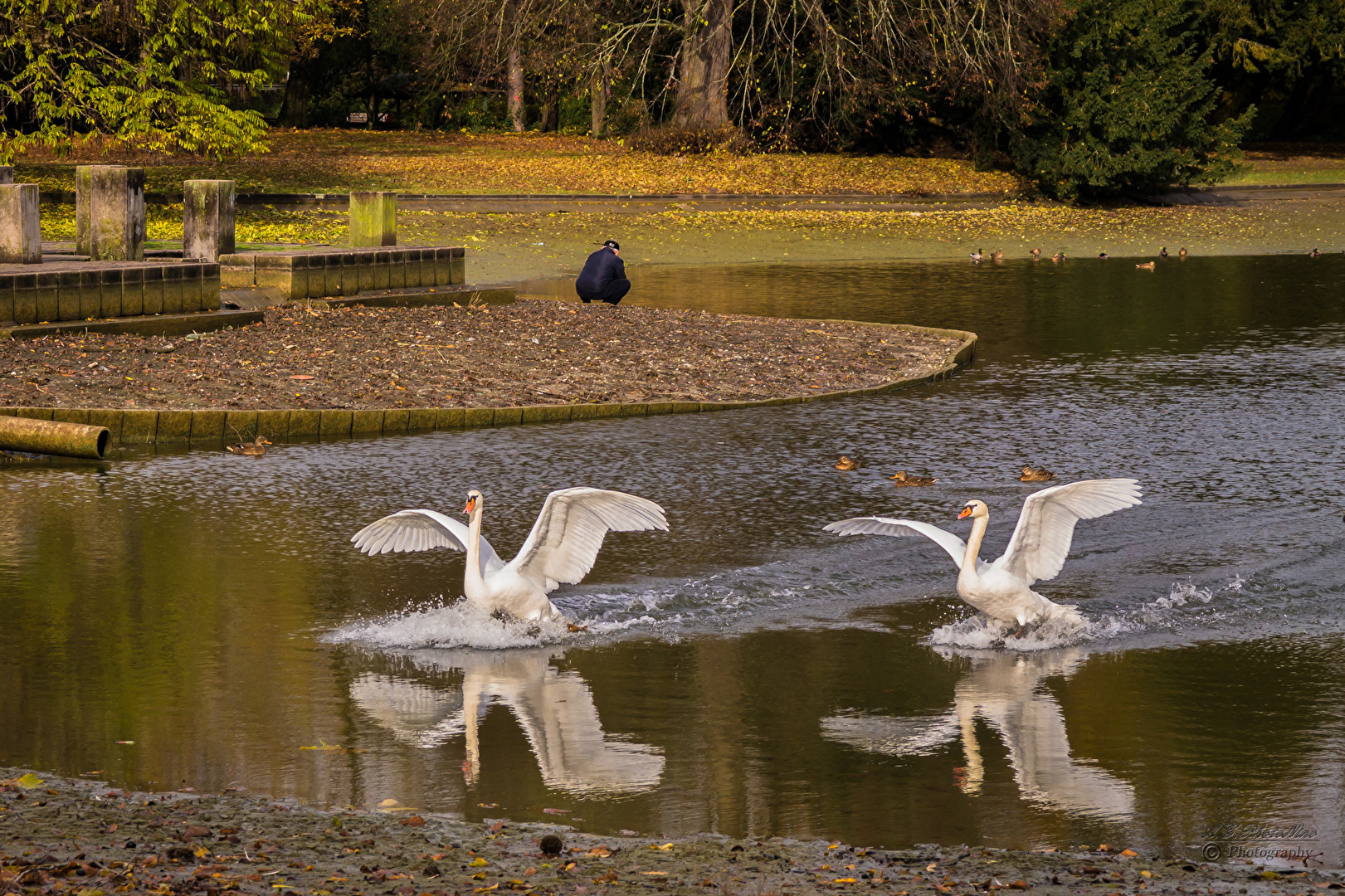 Antoninos Collection