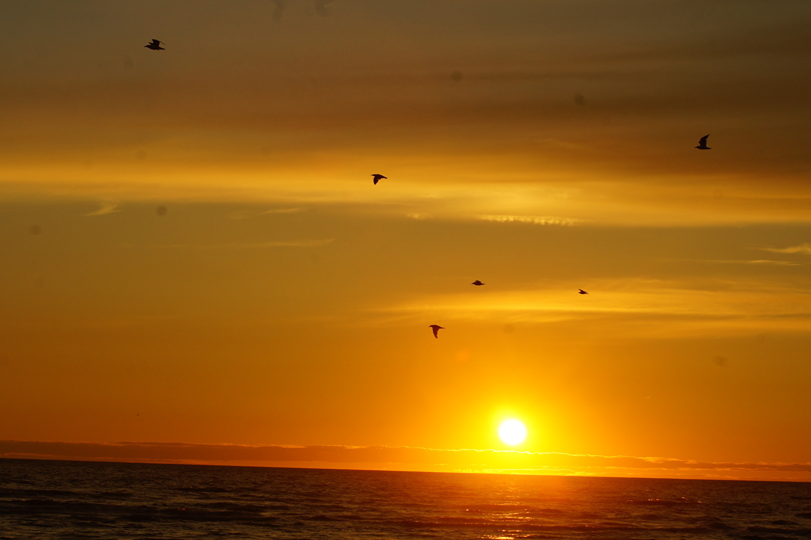 Sonnenaufgang in Skagen