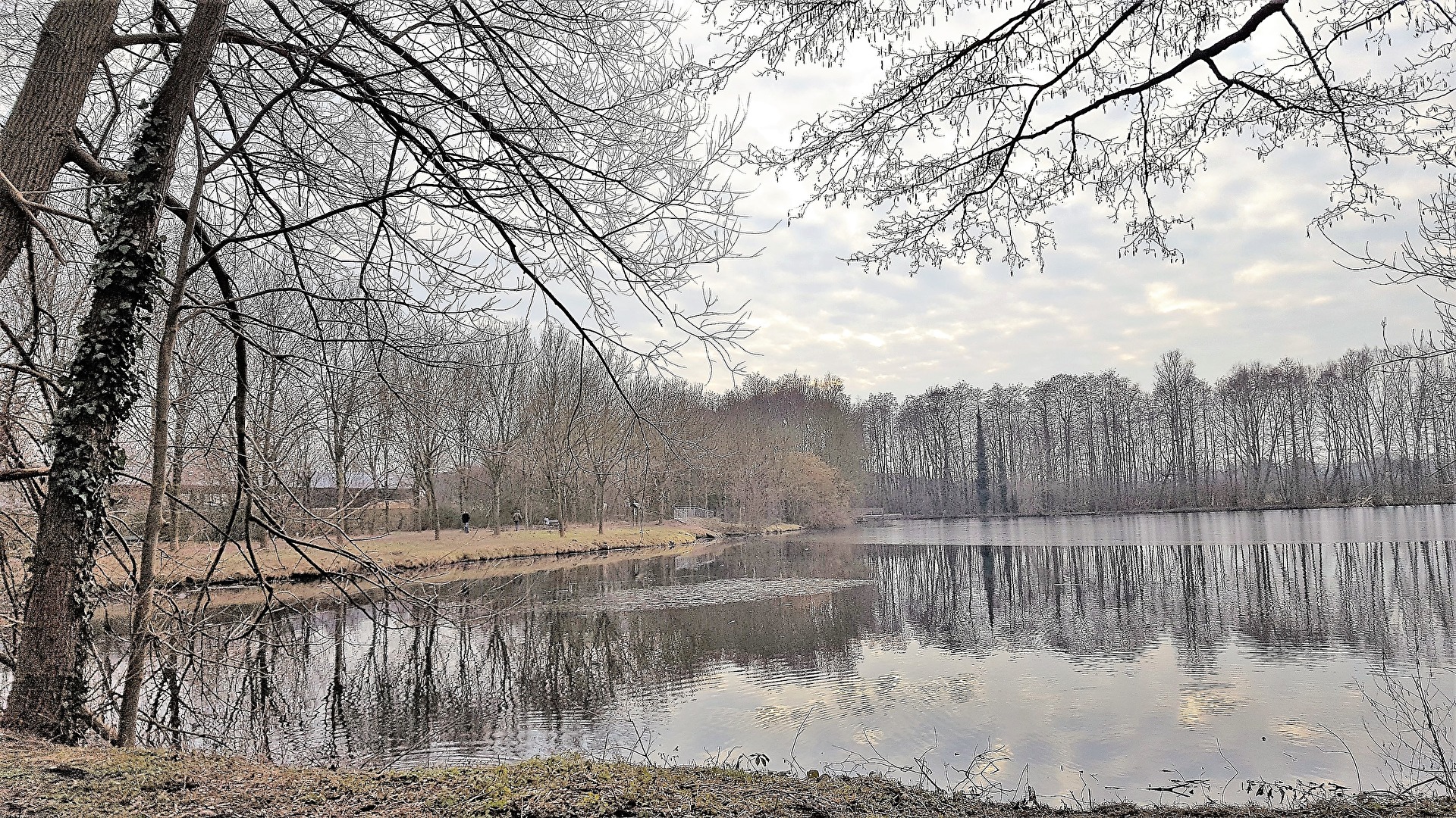 Nettebruch fließt in den Windmühlenbruch