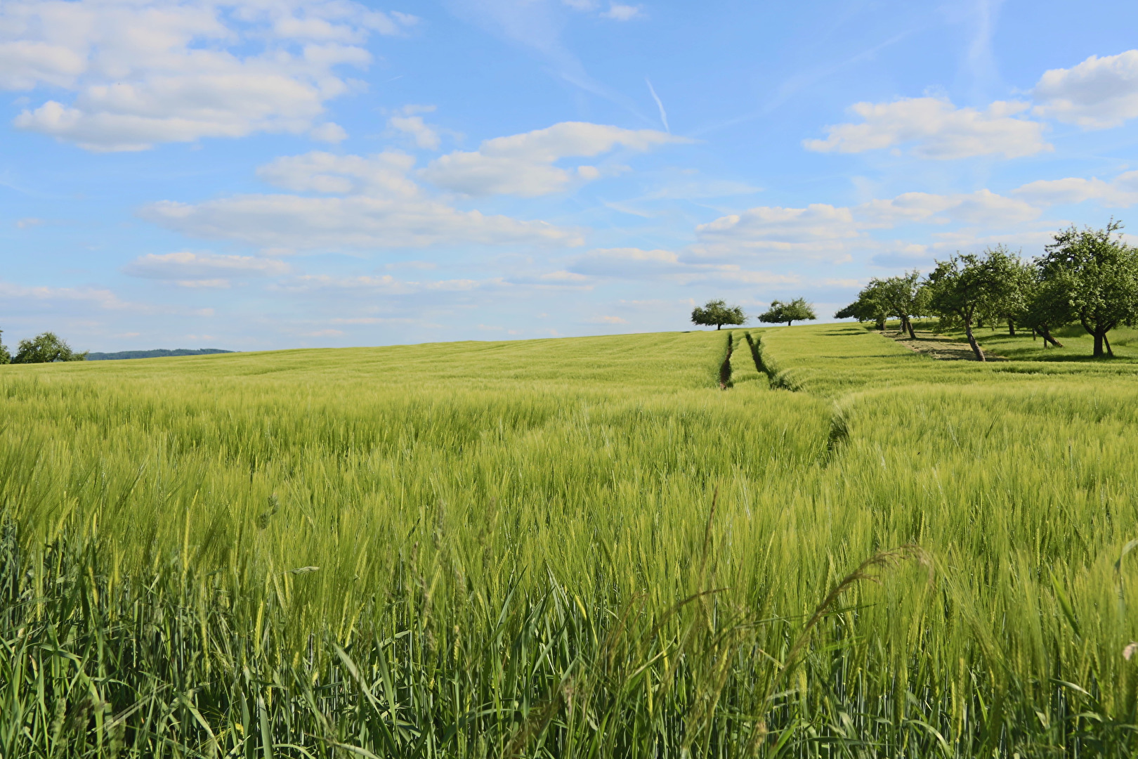Bald ist ist es wieder soweit