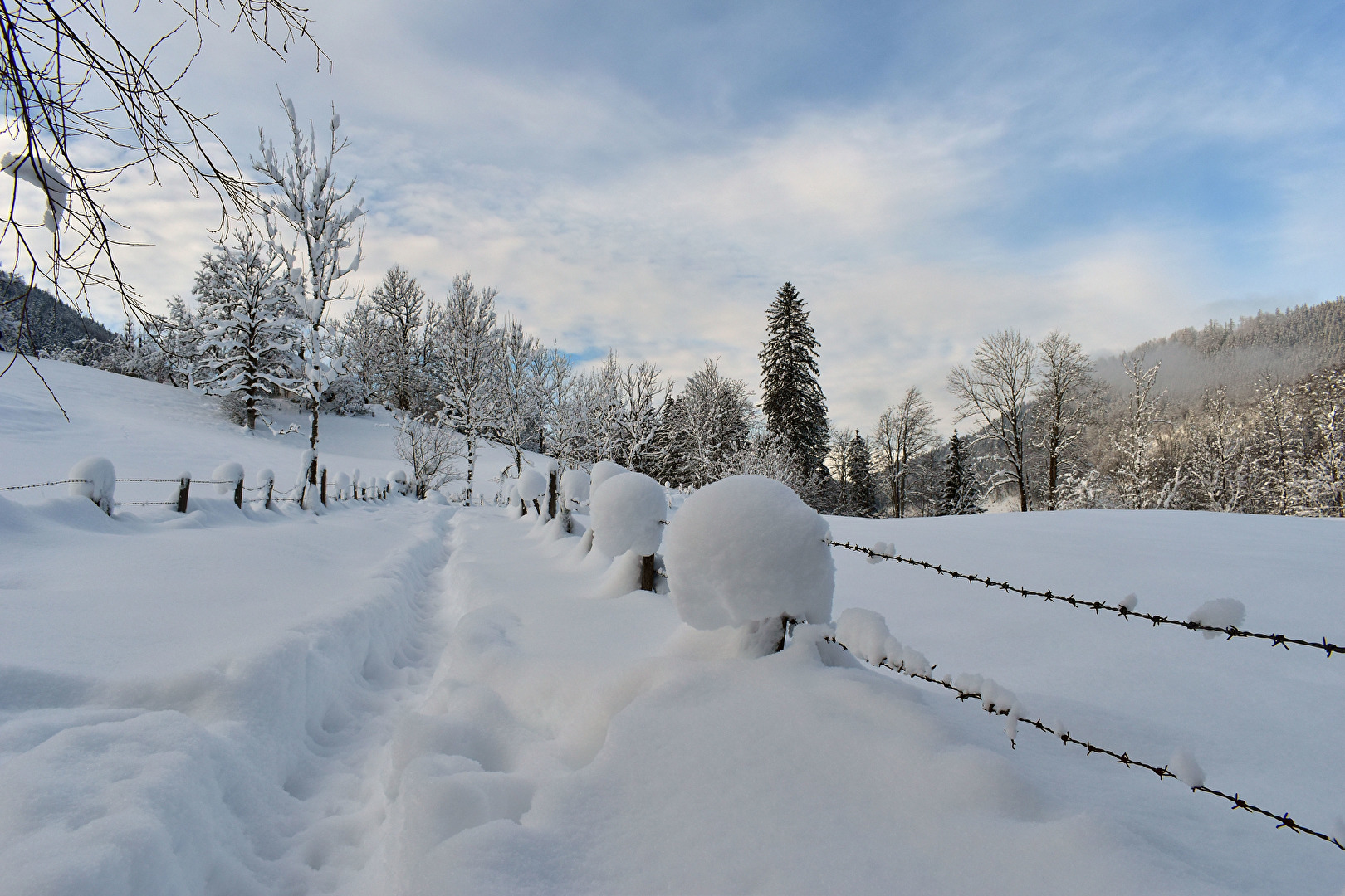 Ein schön verschneiter Tag
