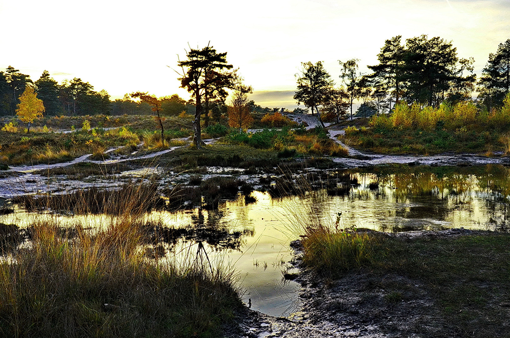 Brunssummerheide Niederlande  - Fotoalbum vom 06.11.2018