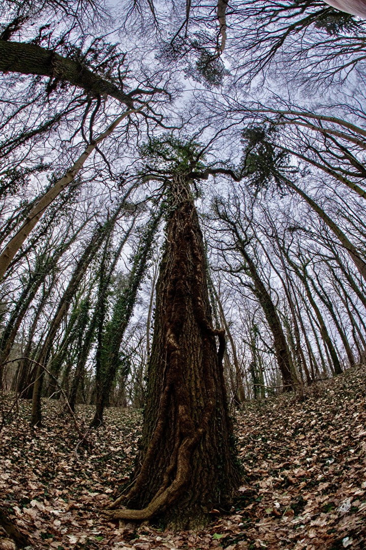 Das Fisheye ist da….