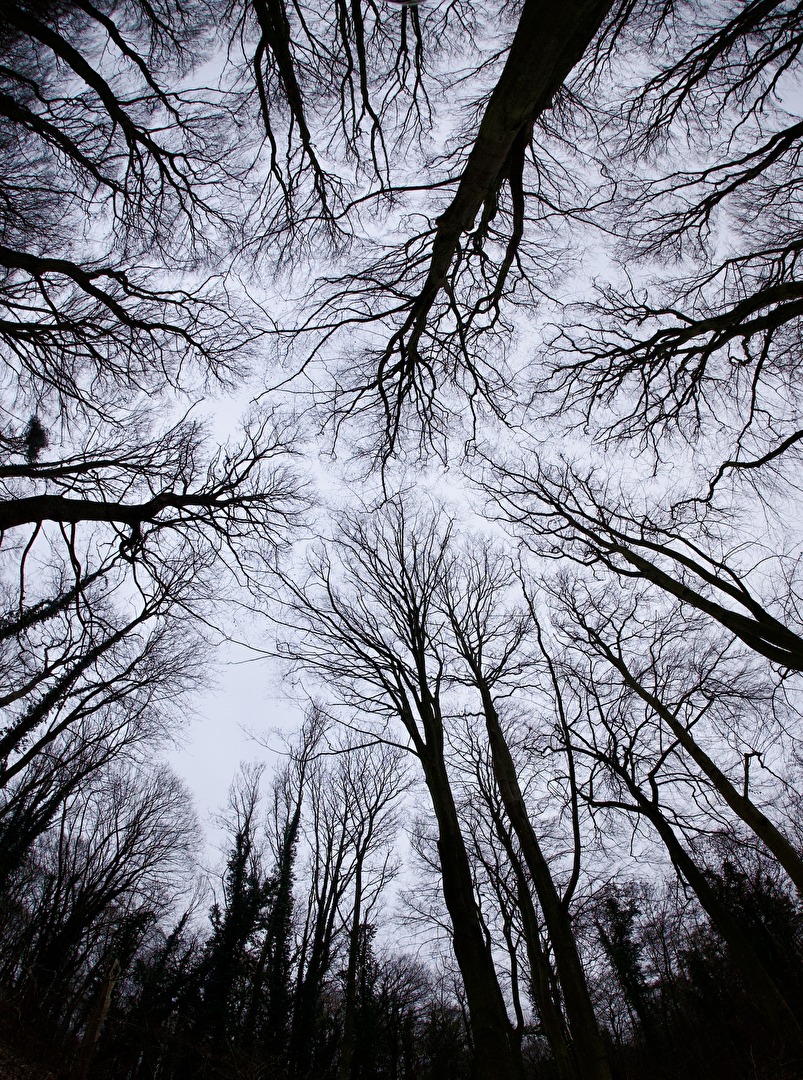 Das Fisheye ist da….