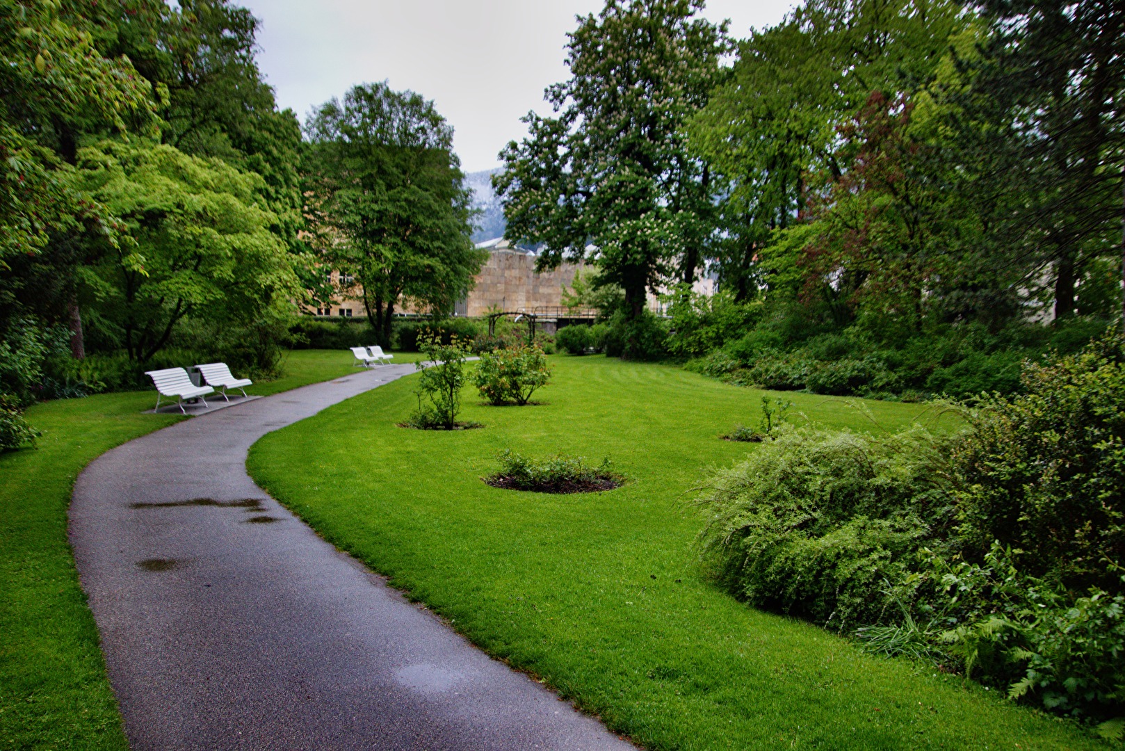Blick in den Rosengarten