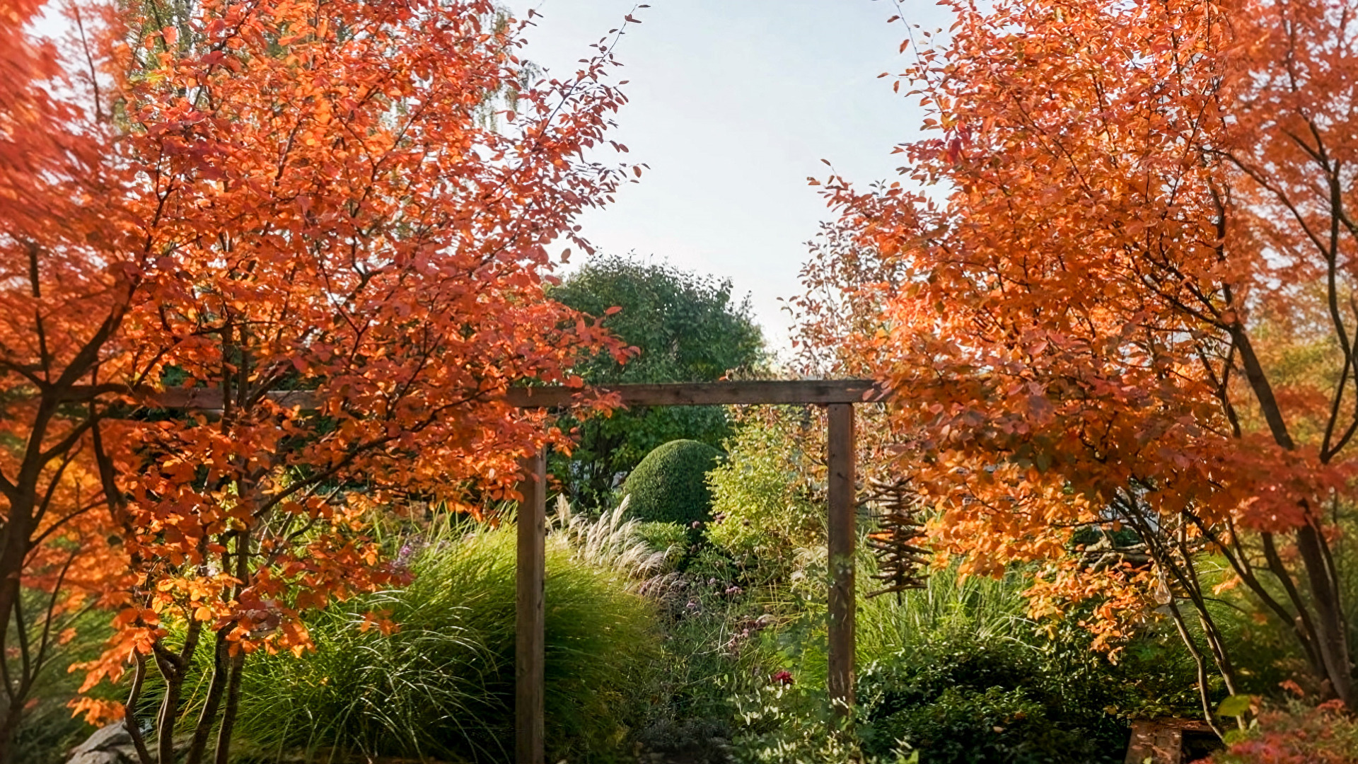 Pergola