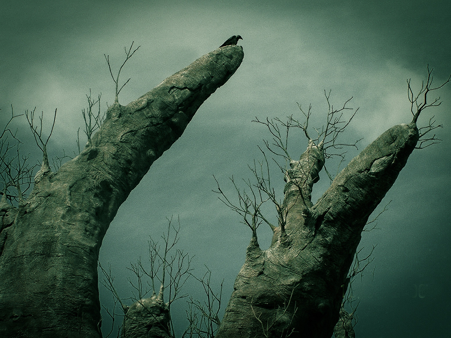 Der Rabe auf dem knorrigen Baum