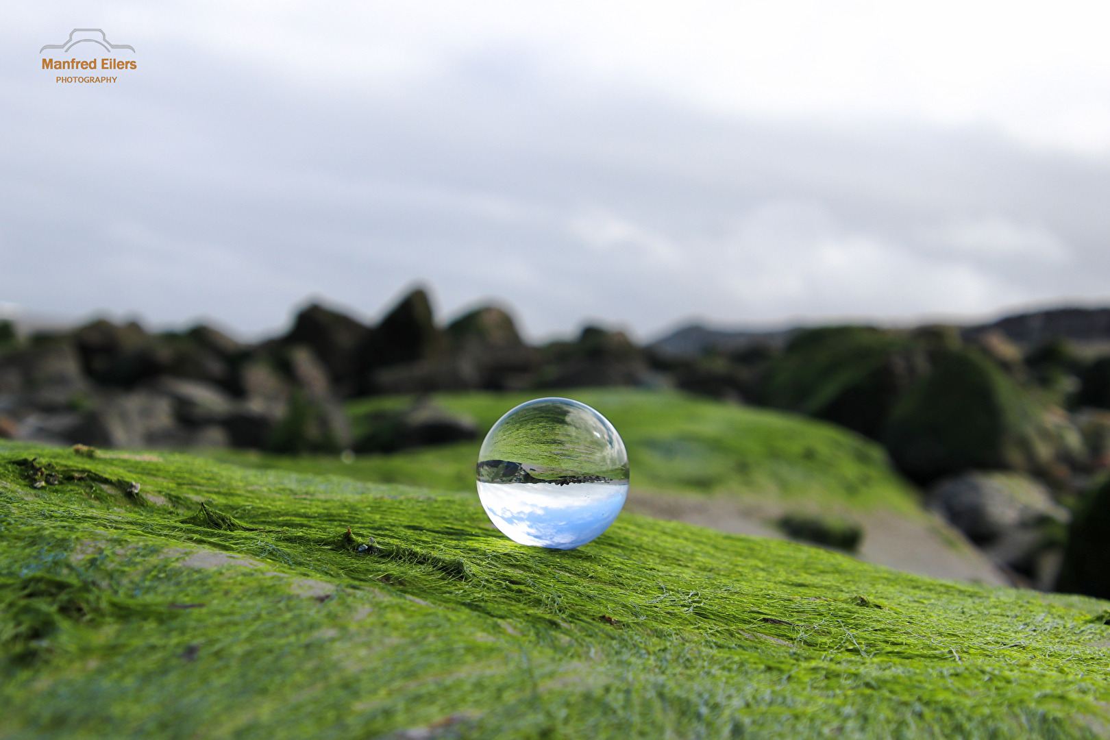 In denn Gezeiten grünt es sooo grün.