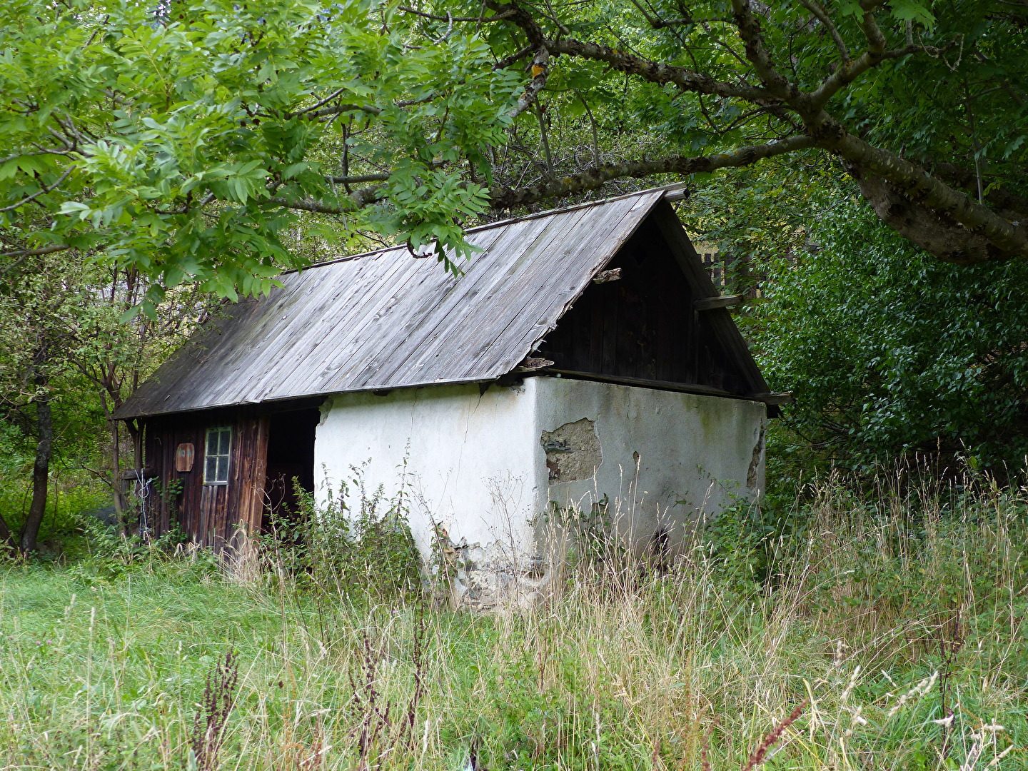 Stillleben