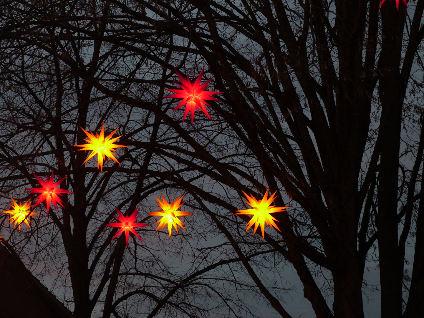 Sterne im Advent