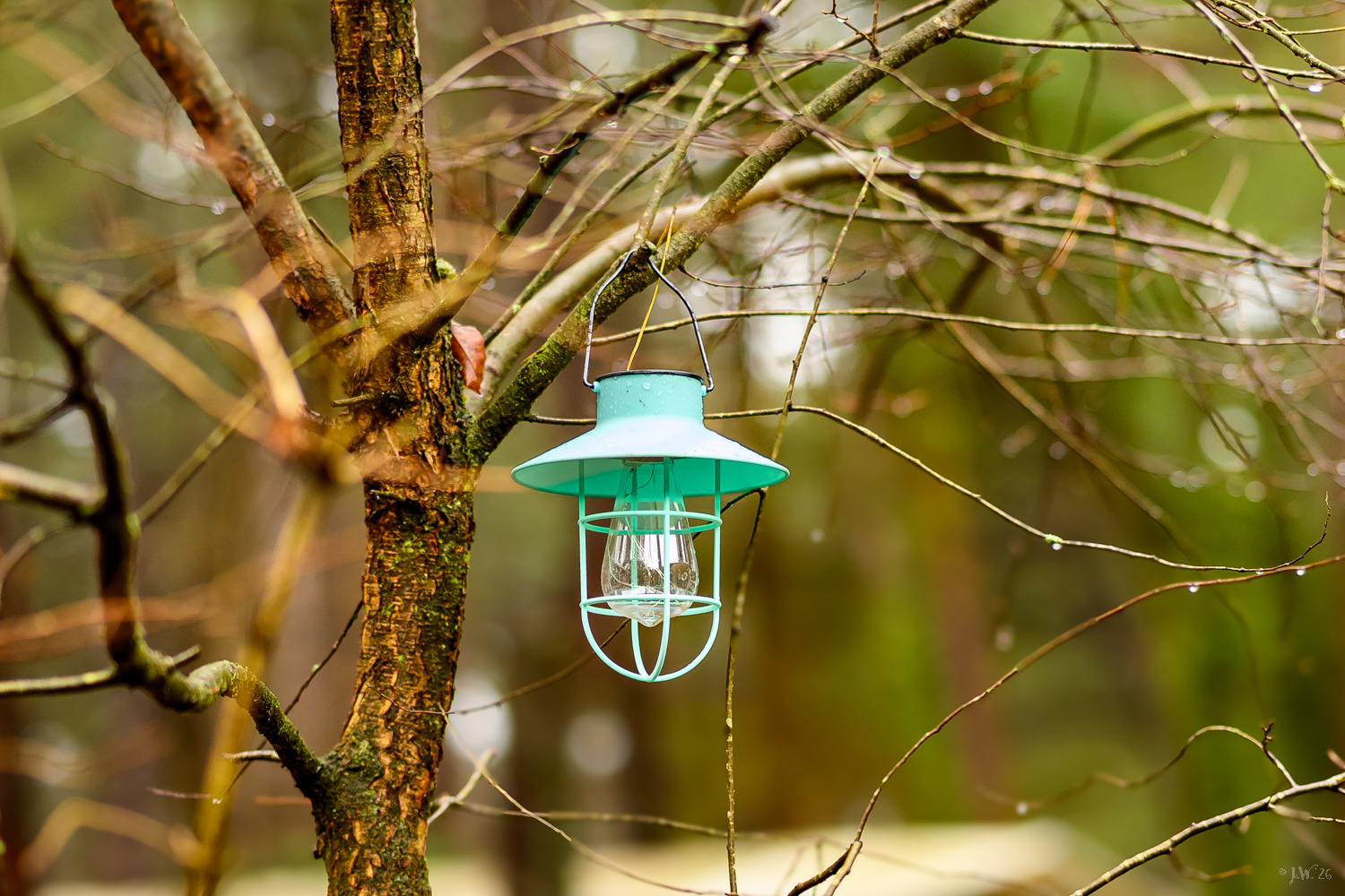 LED-Leuchte ...