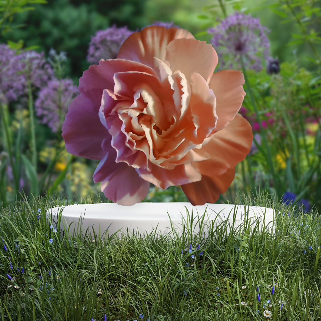 Blüte einer Nelke  (eventuell mit KI erstellt)