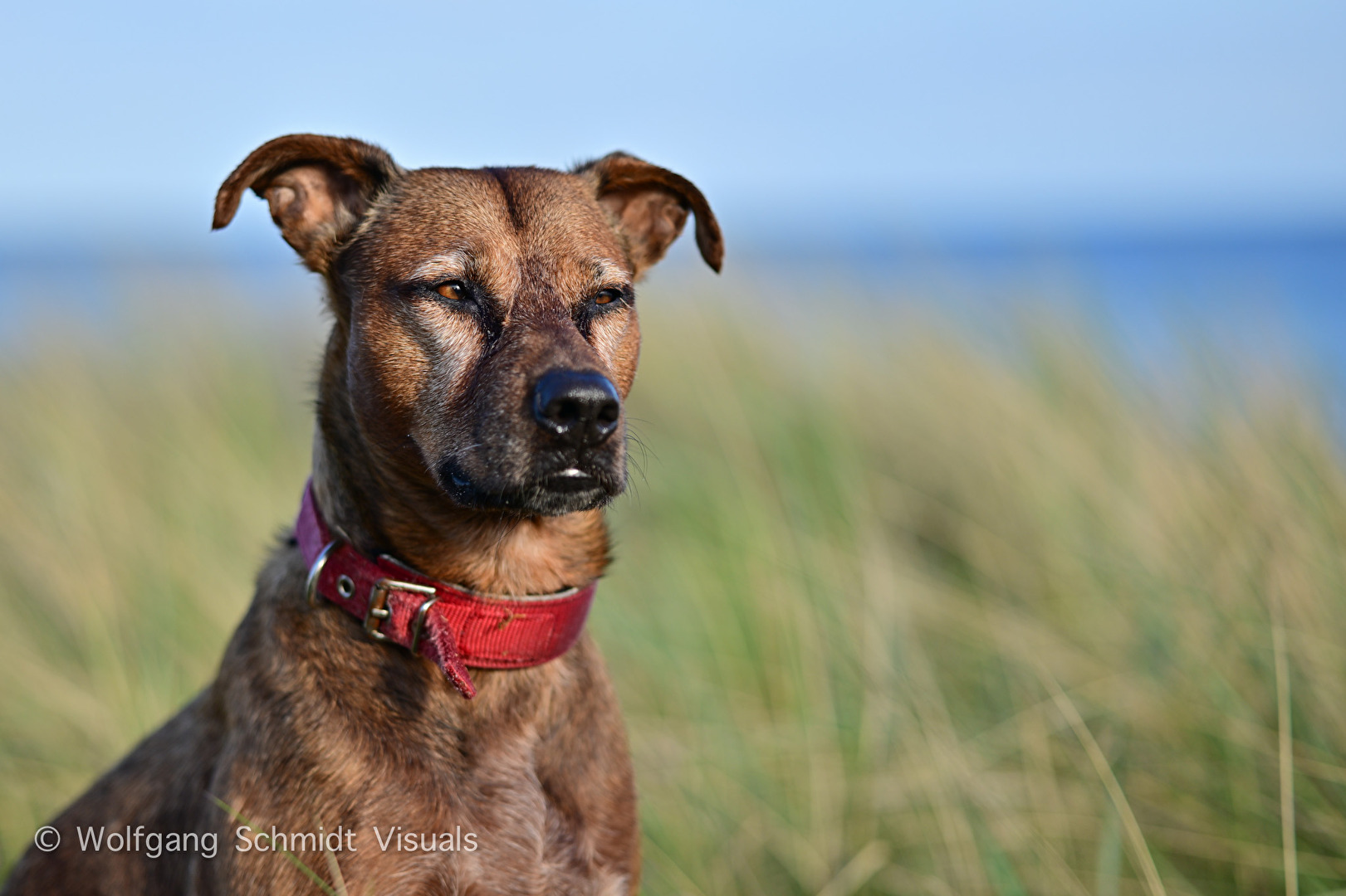 Shooting am Strand