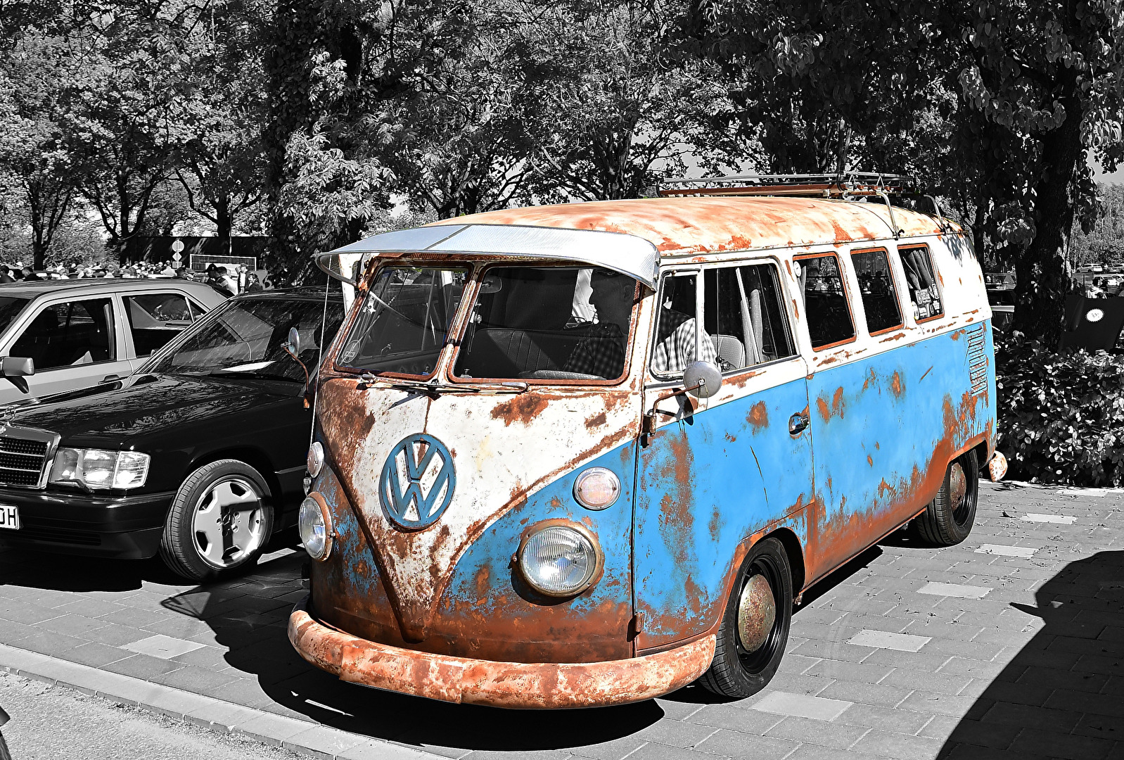 VW T1